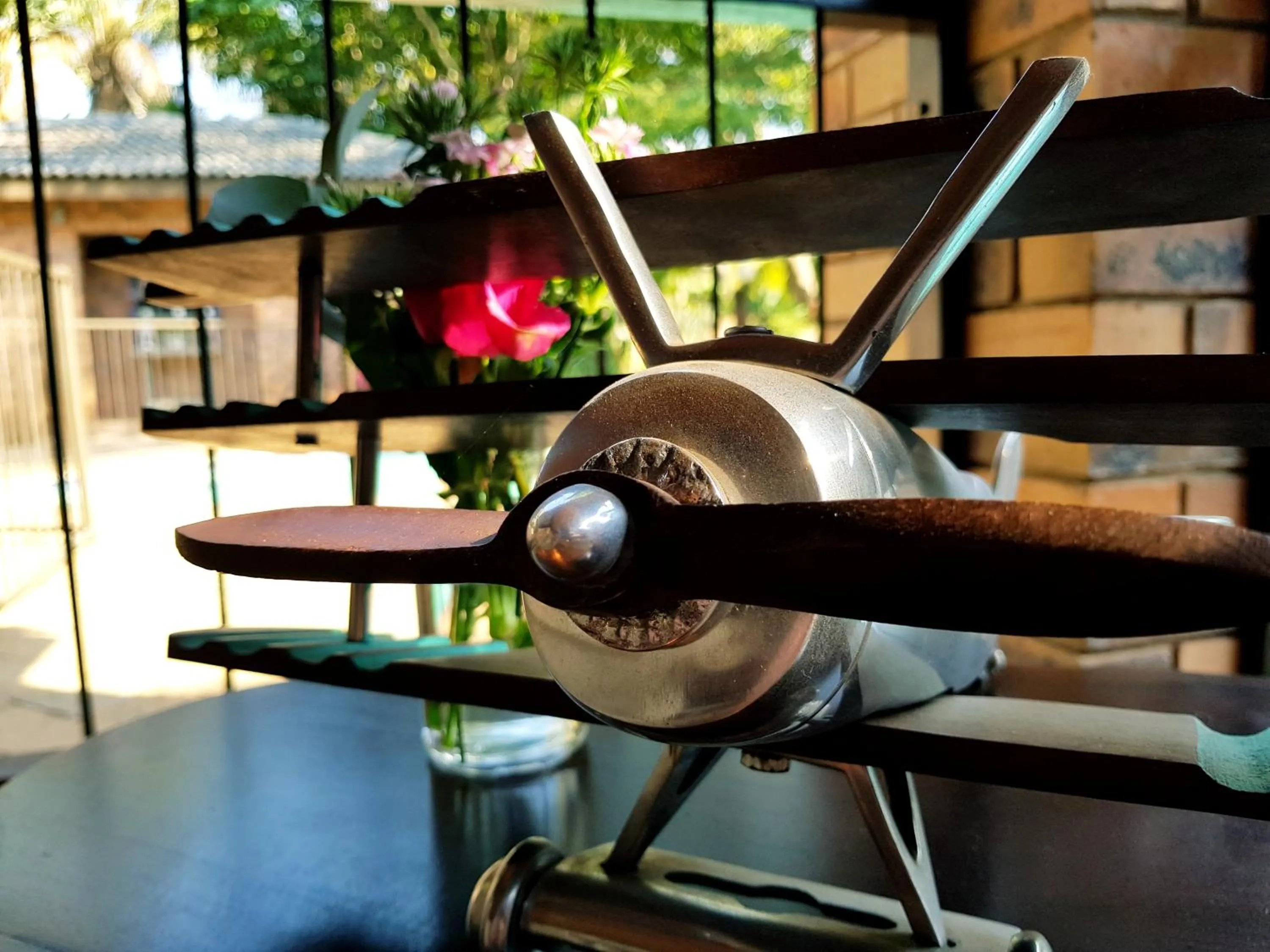 sunbed in Barnstormers Rest