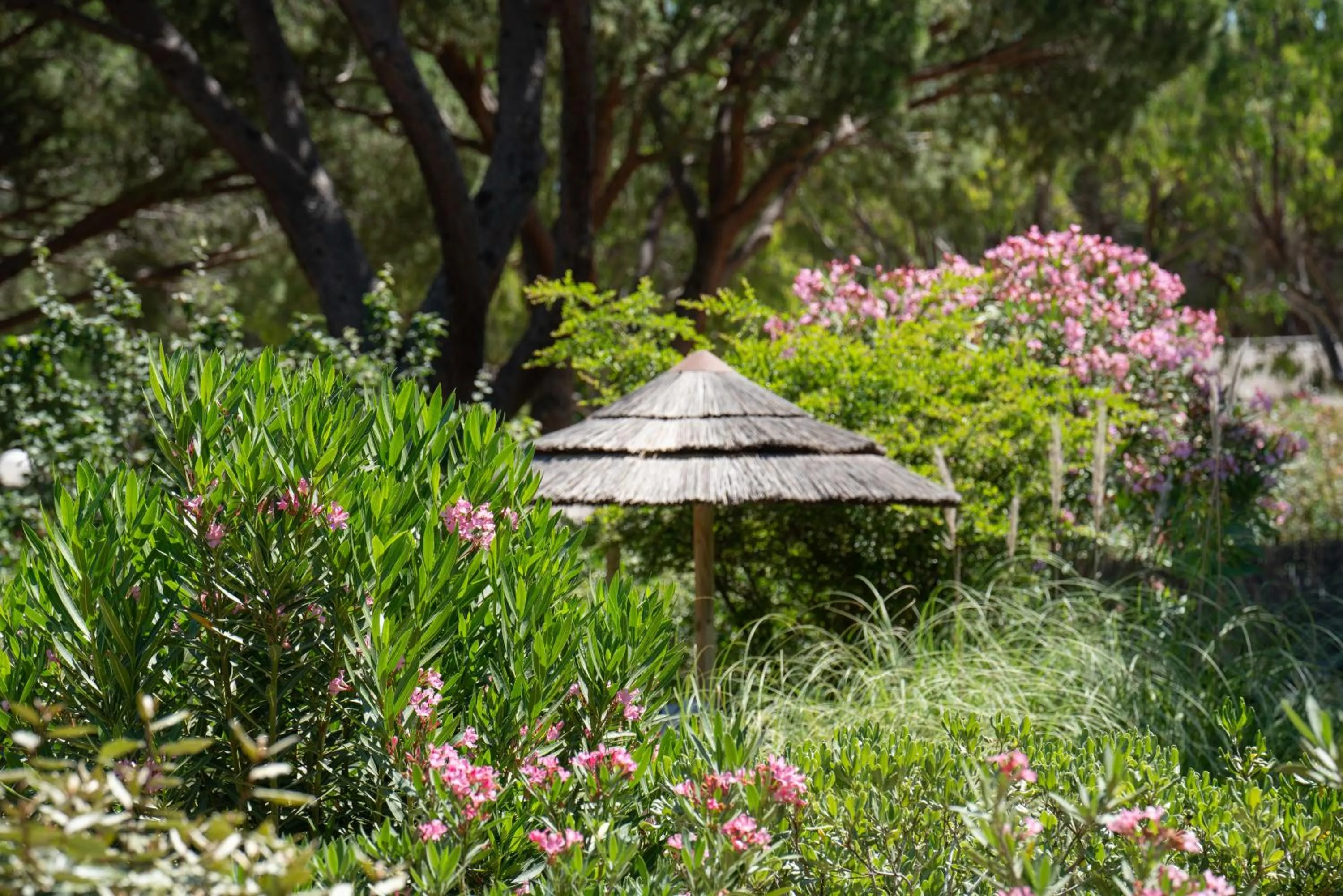 Garden in Feriendorf zum störrischen Esel