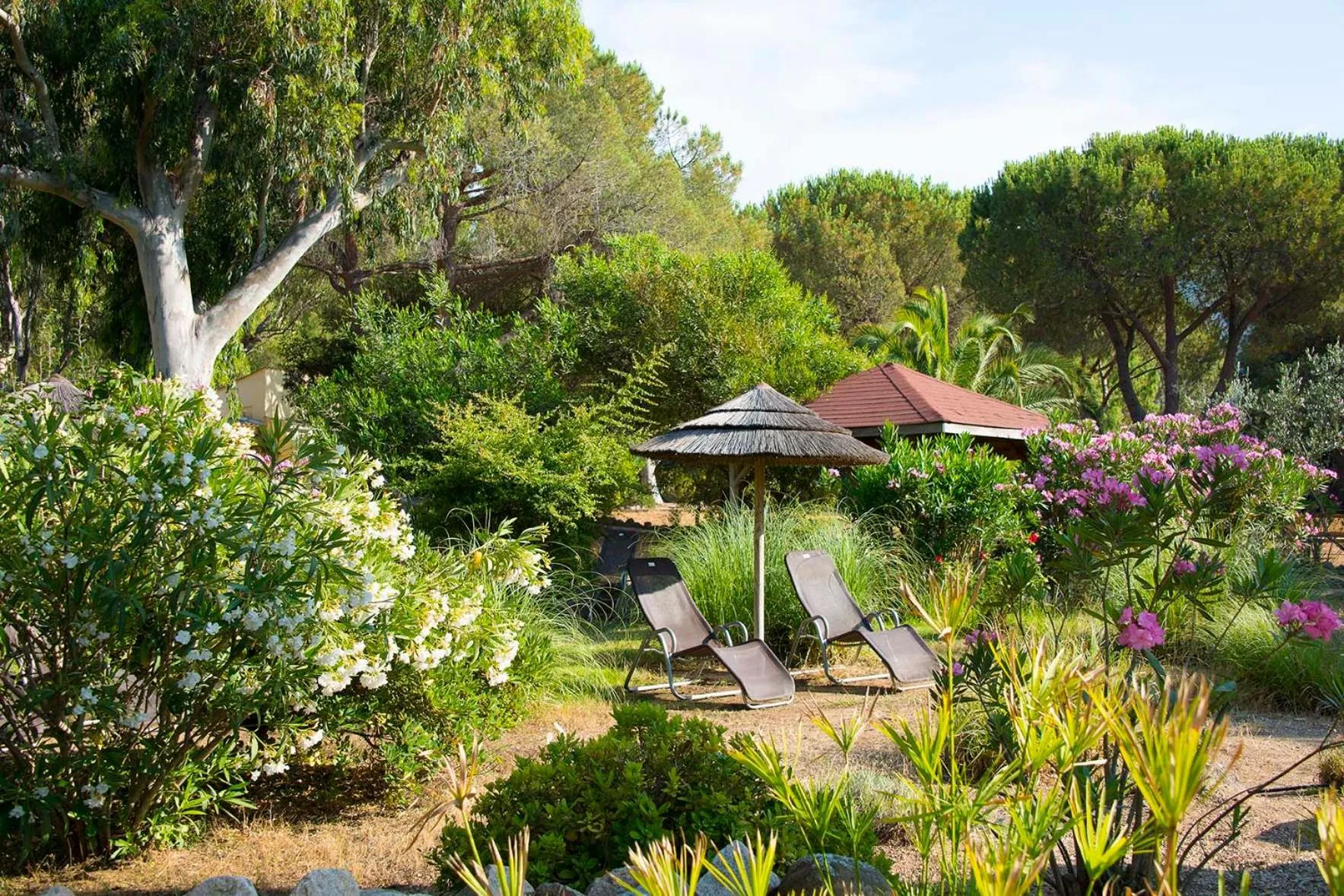 Property building in Feriendorf zum störrischen Esel