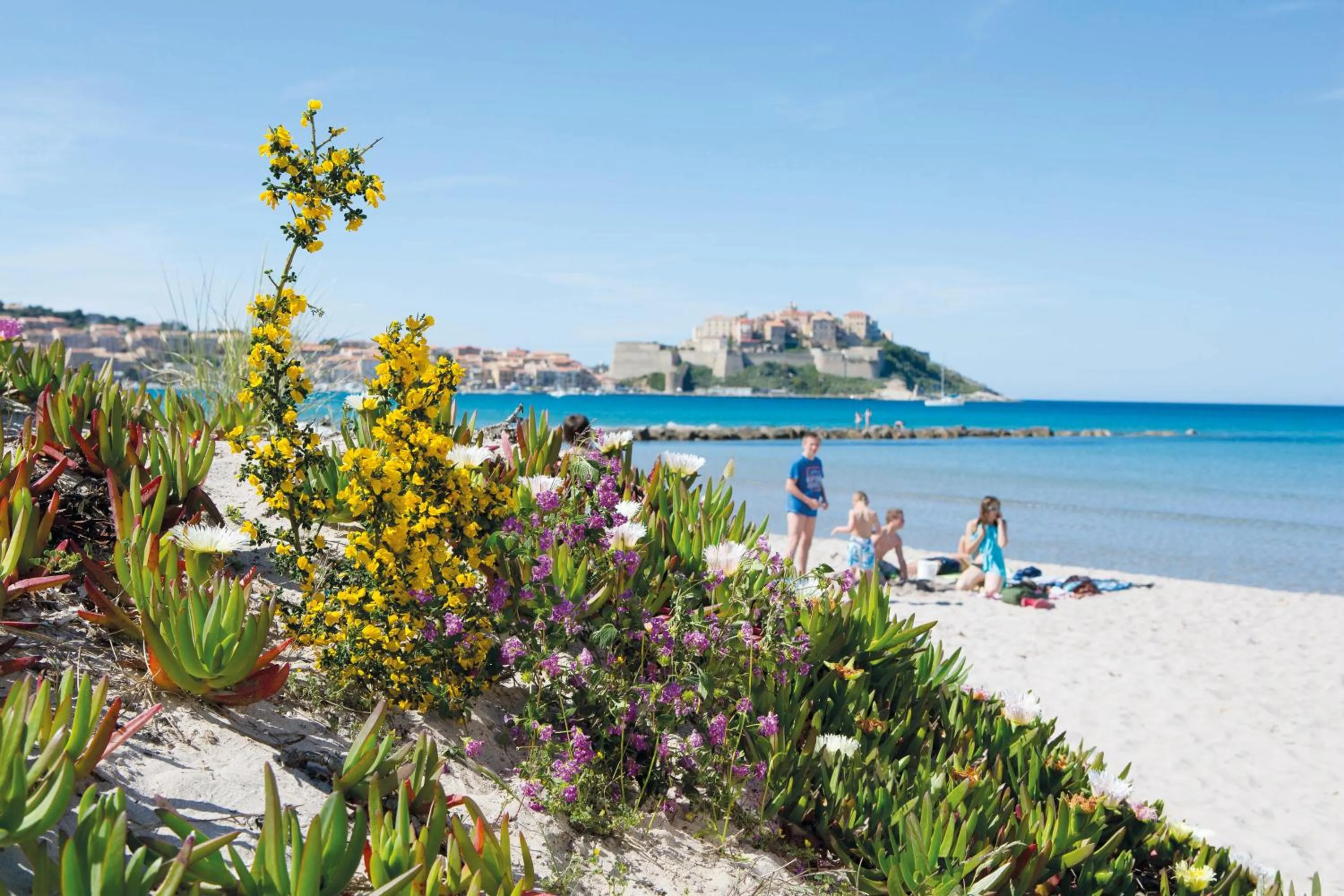 Beach in Feriendorf zum störrischen Esel