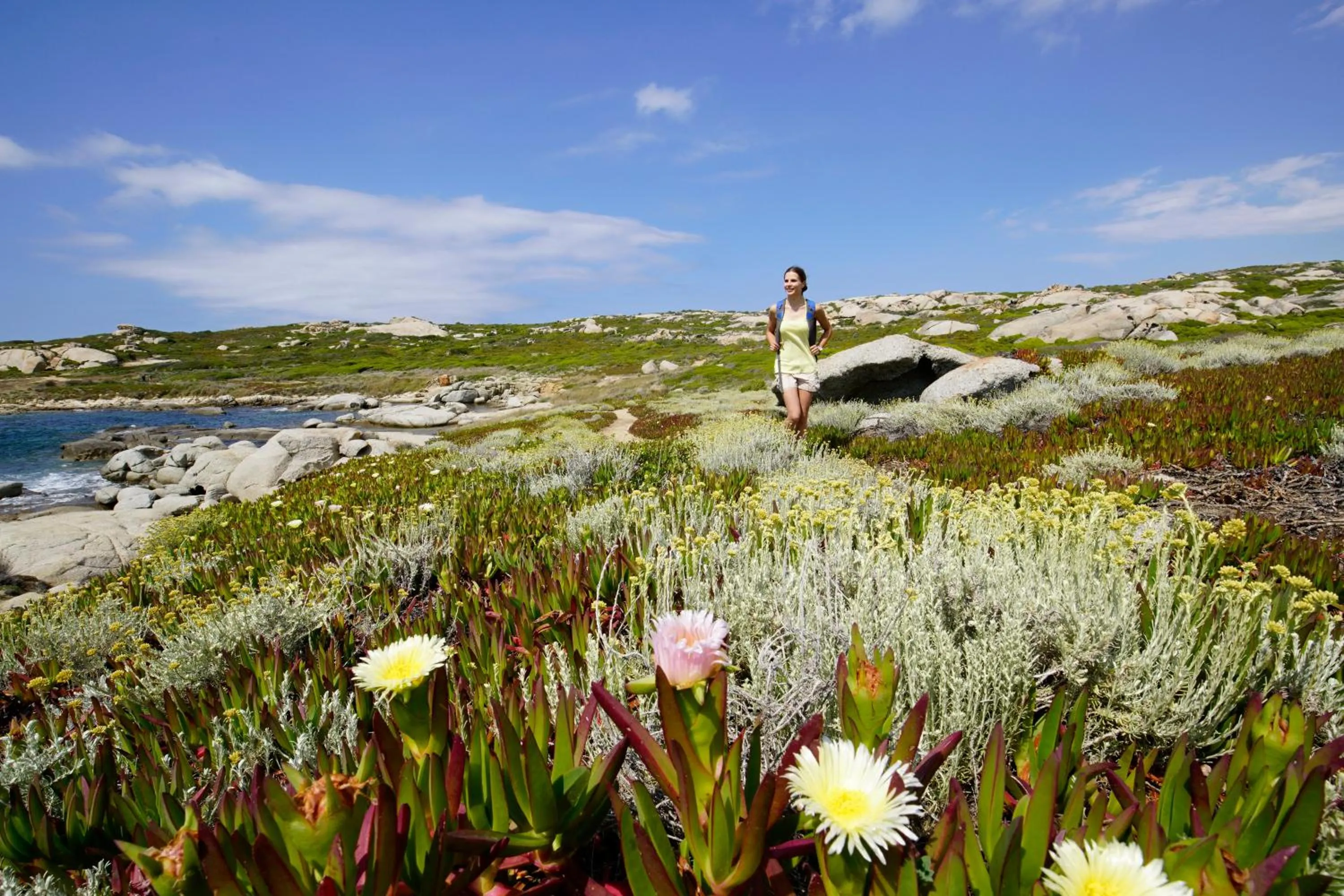 Natural landscape in Feriendorf zum störrischen Esel