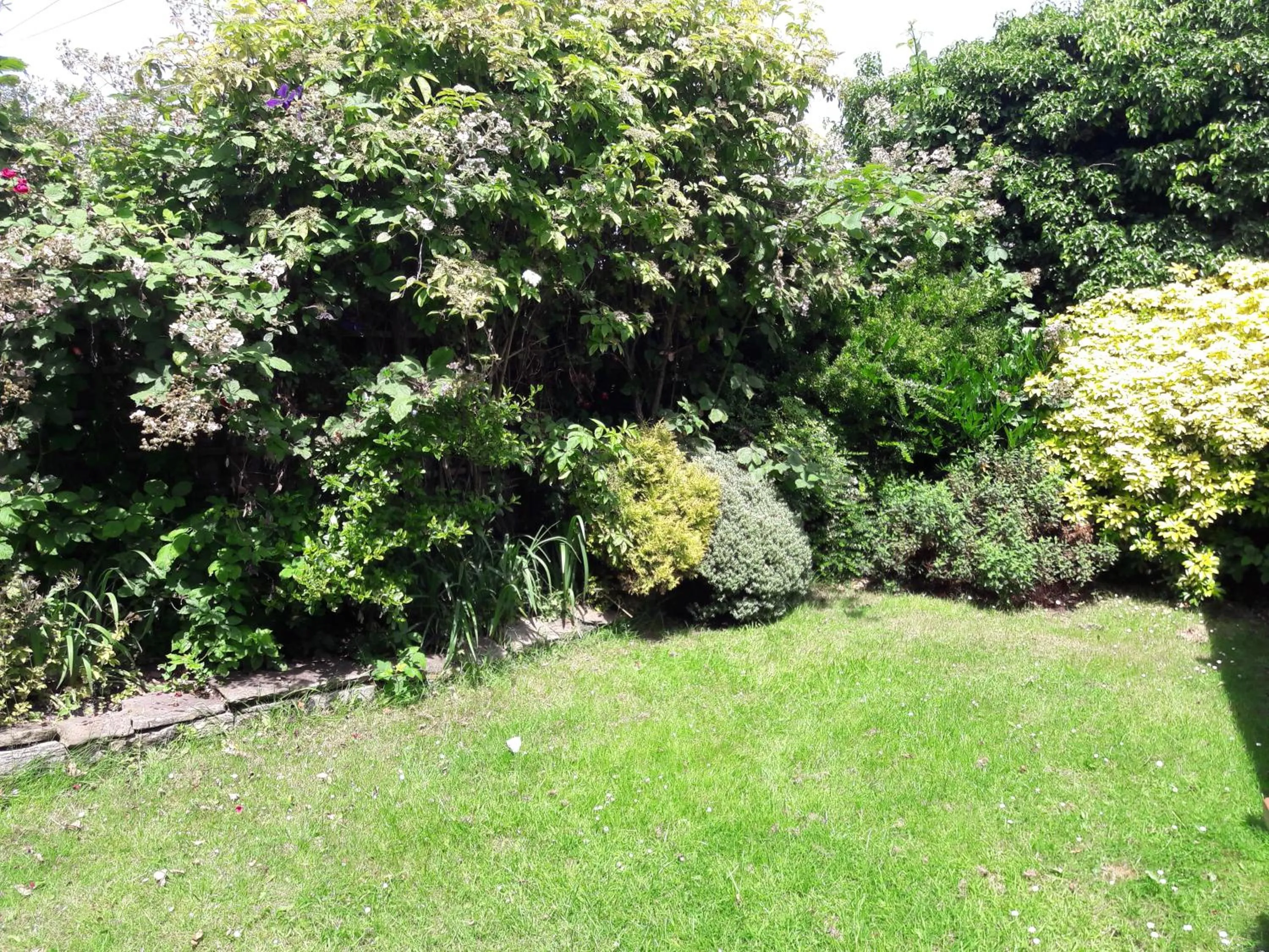 Garden in Overnight Stays Stockport