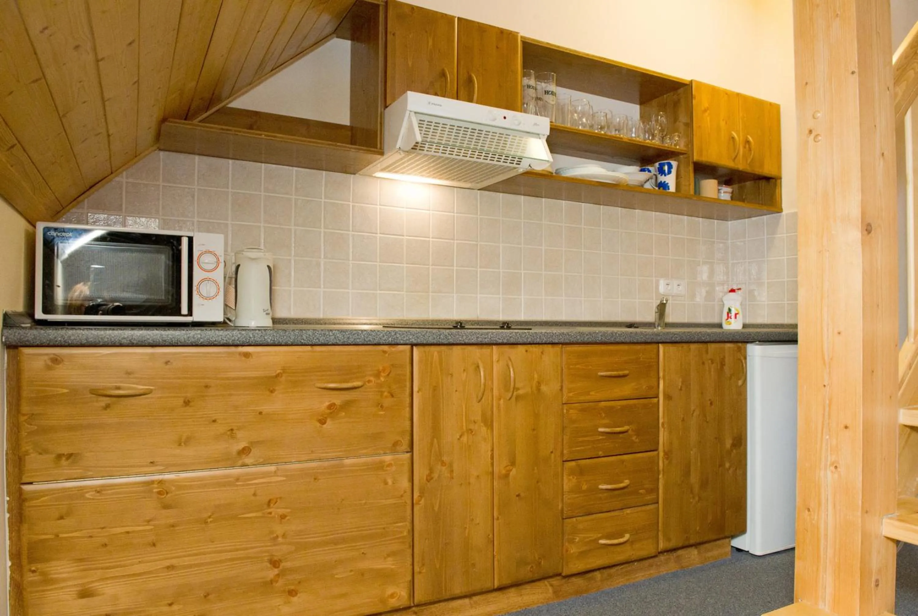 Kitchen or kitchenette in Horský Hotel Skiland