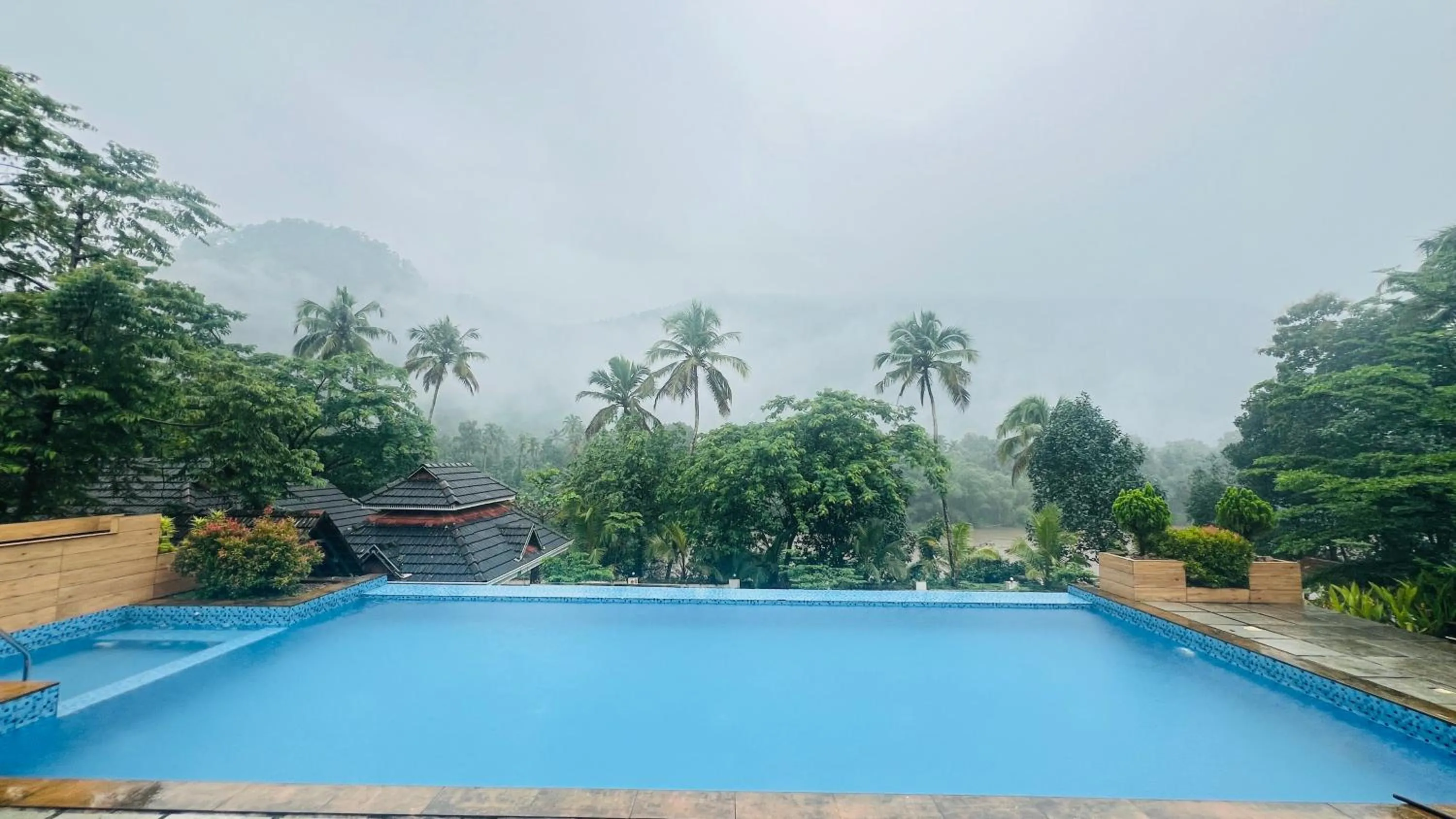 Coconut Valley