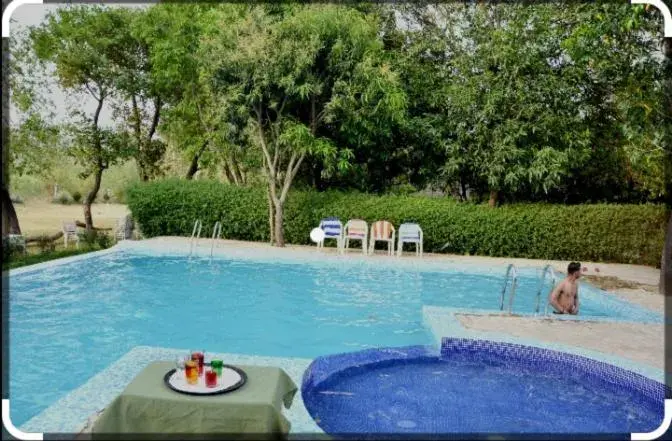 Pool view in Maya The Forest Resort Pool view in Maya The Forest Resort