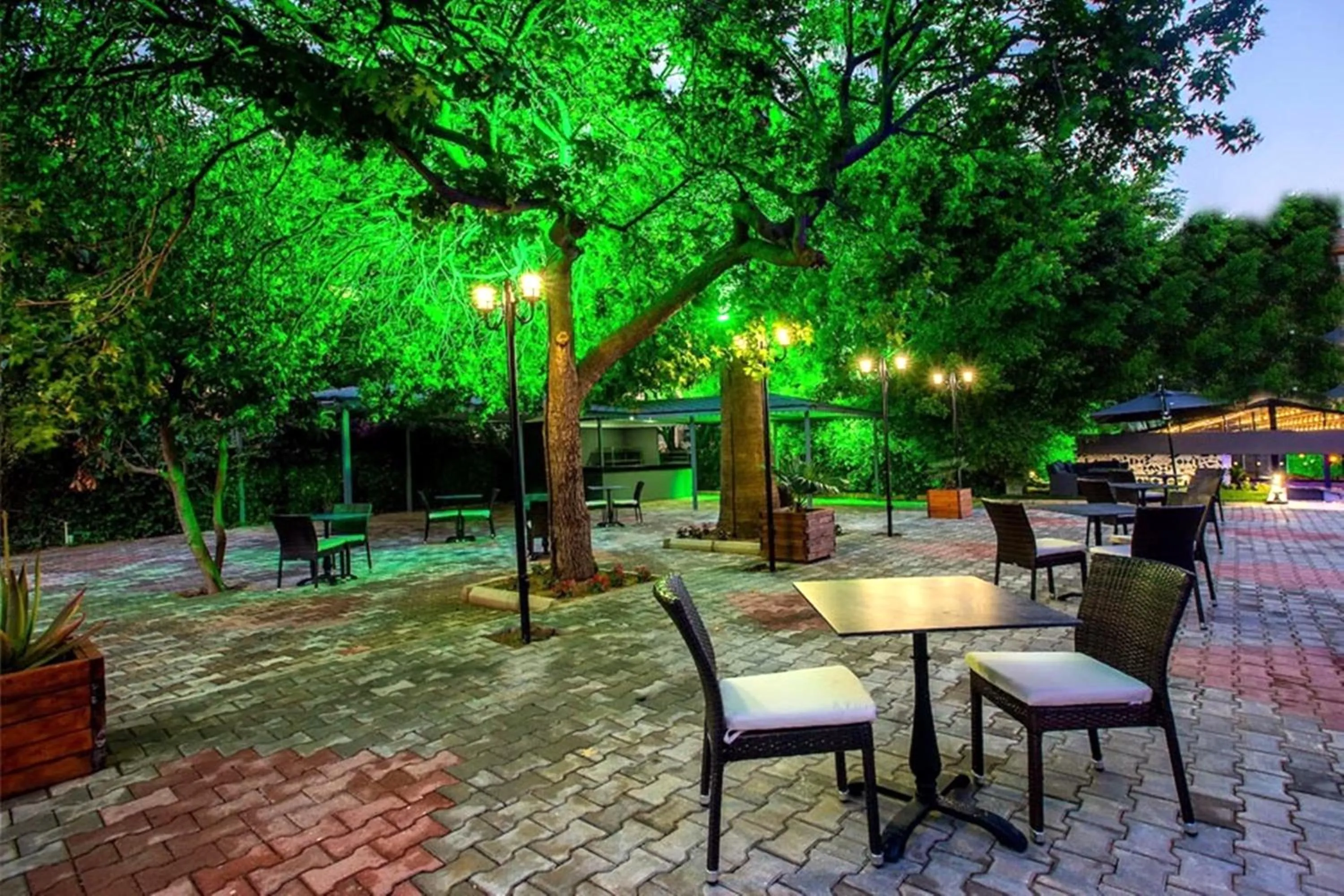 Garden in Grand Alisa Hotel (Ex. Royalisa Hotel)