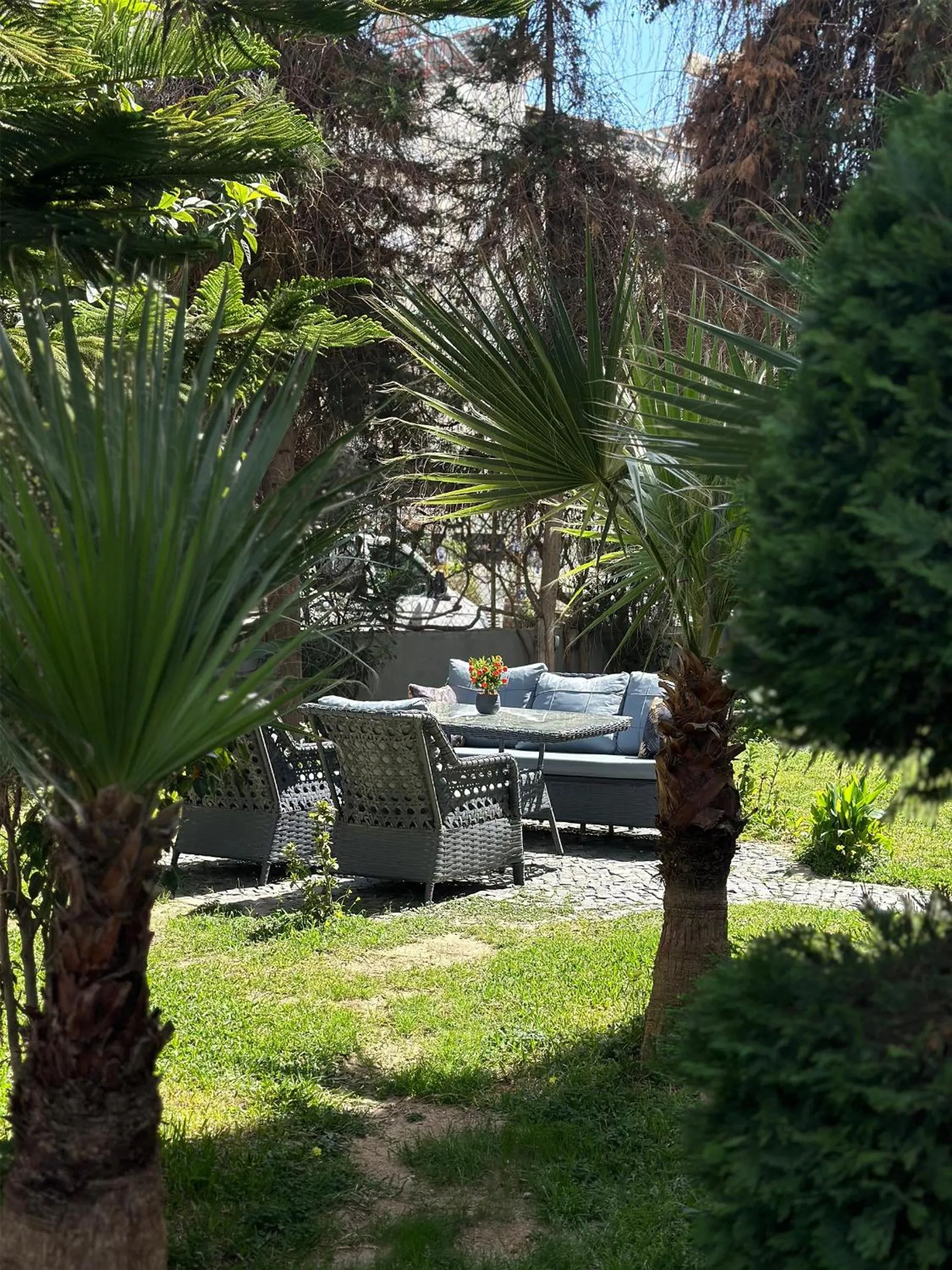 Garden in Grand Alisa Hotel (Ex. Royalisa Hotel)