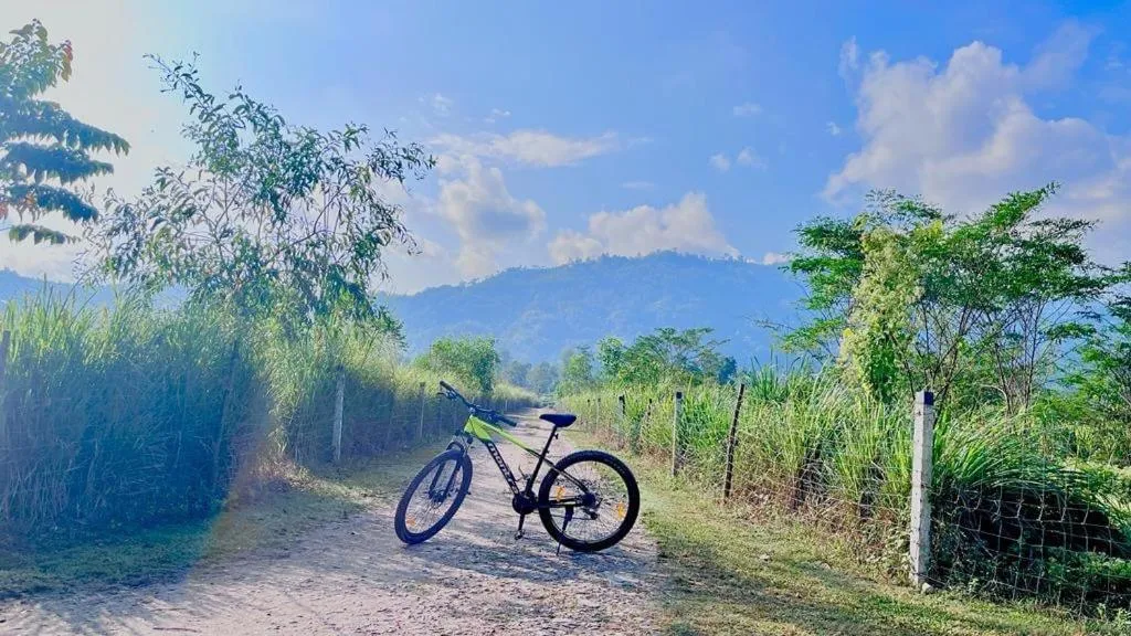 Mountain view in HABITAS RHINO BY NATURE HUNT