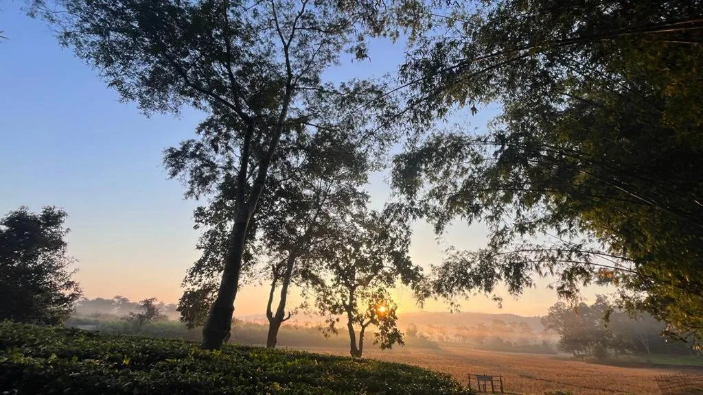 Natural landscape in HABITAS RHINO BY NATURE HUNT