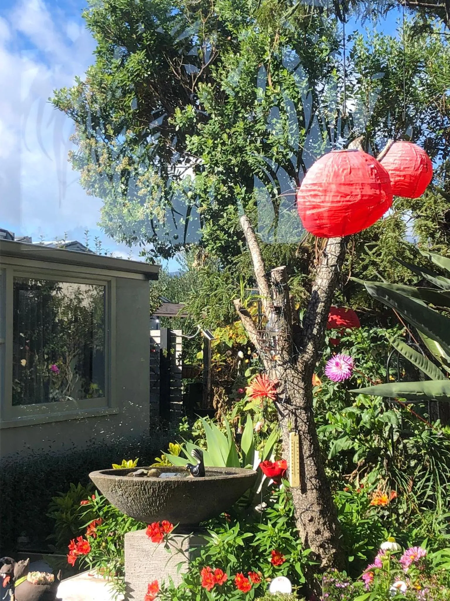 Garden view in Top Floor Bed and Breakfast