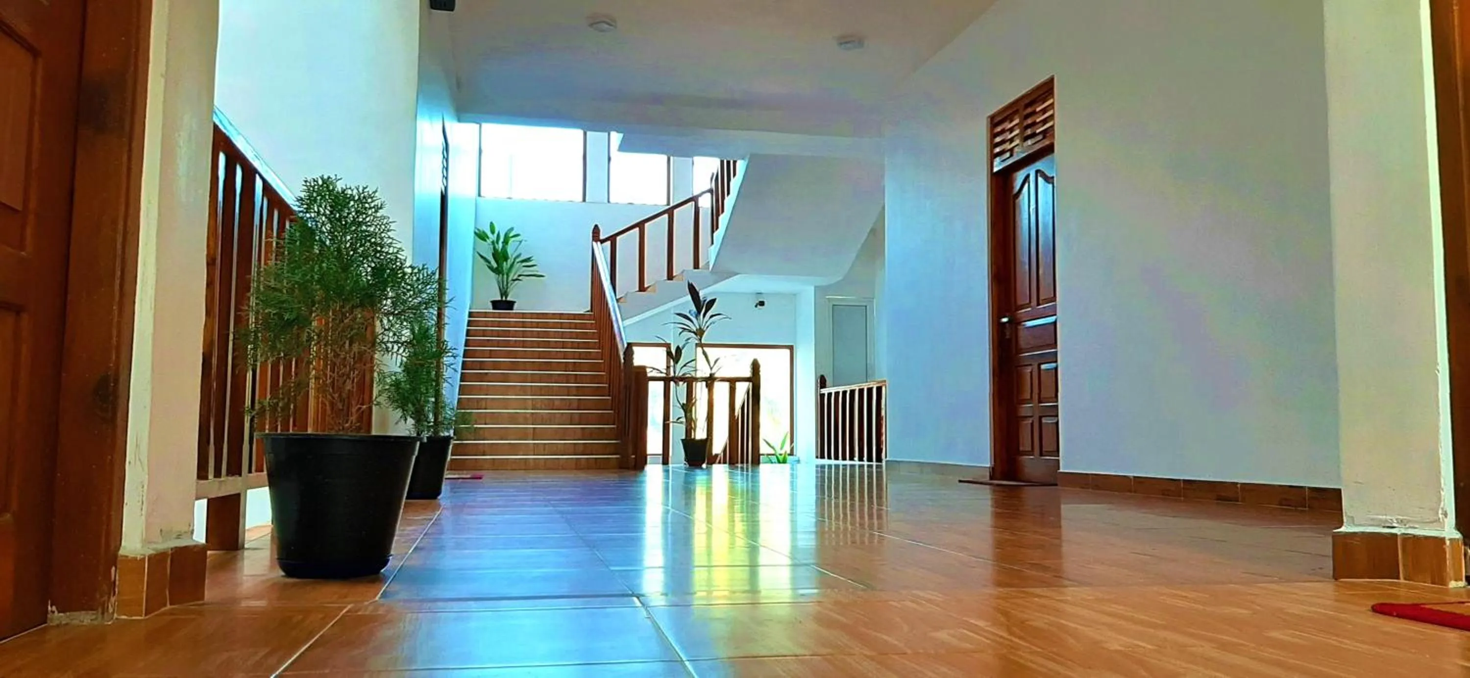 View (from property/room) in Dream Palace Family Guest House Mirissa , Beach 50m