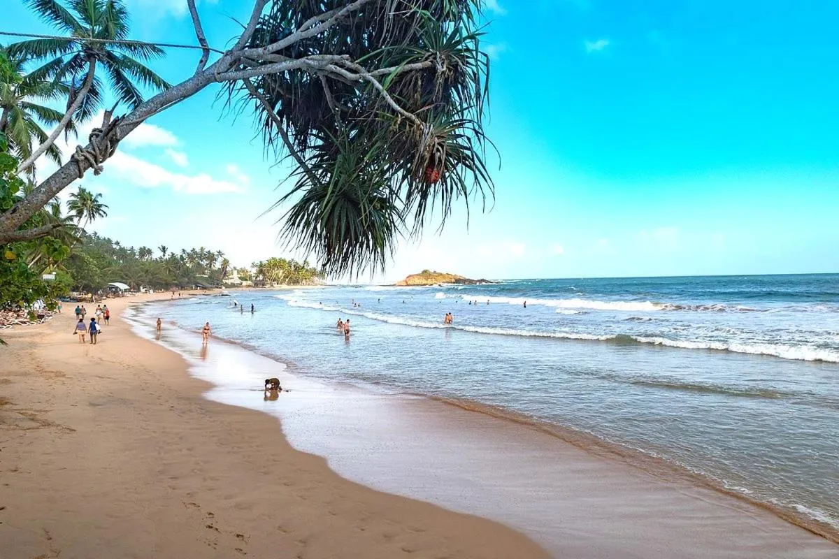 Natural landscape in Dream Palace Family Guest House Mirissa , Beach 50m