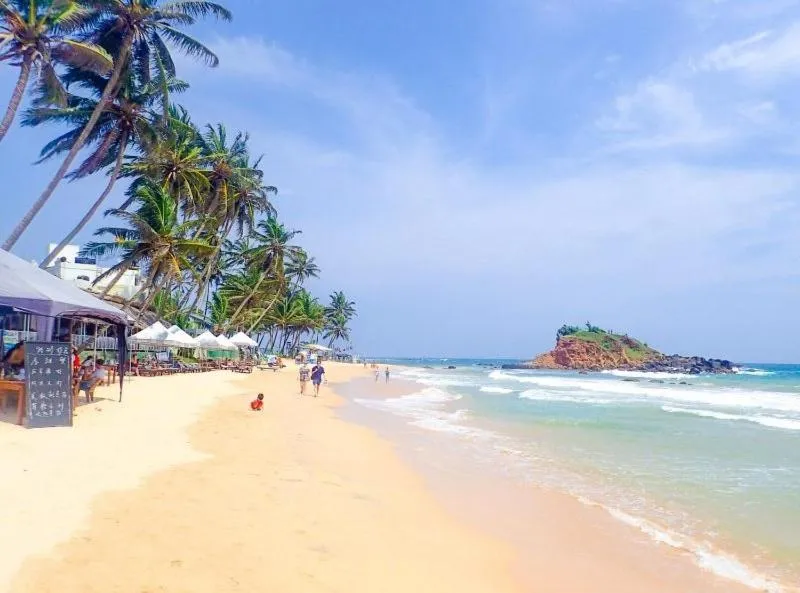 Natural landscape in Dream Palace Family Guest House Mirissa , Beach 50m