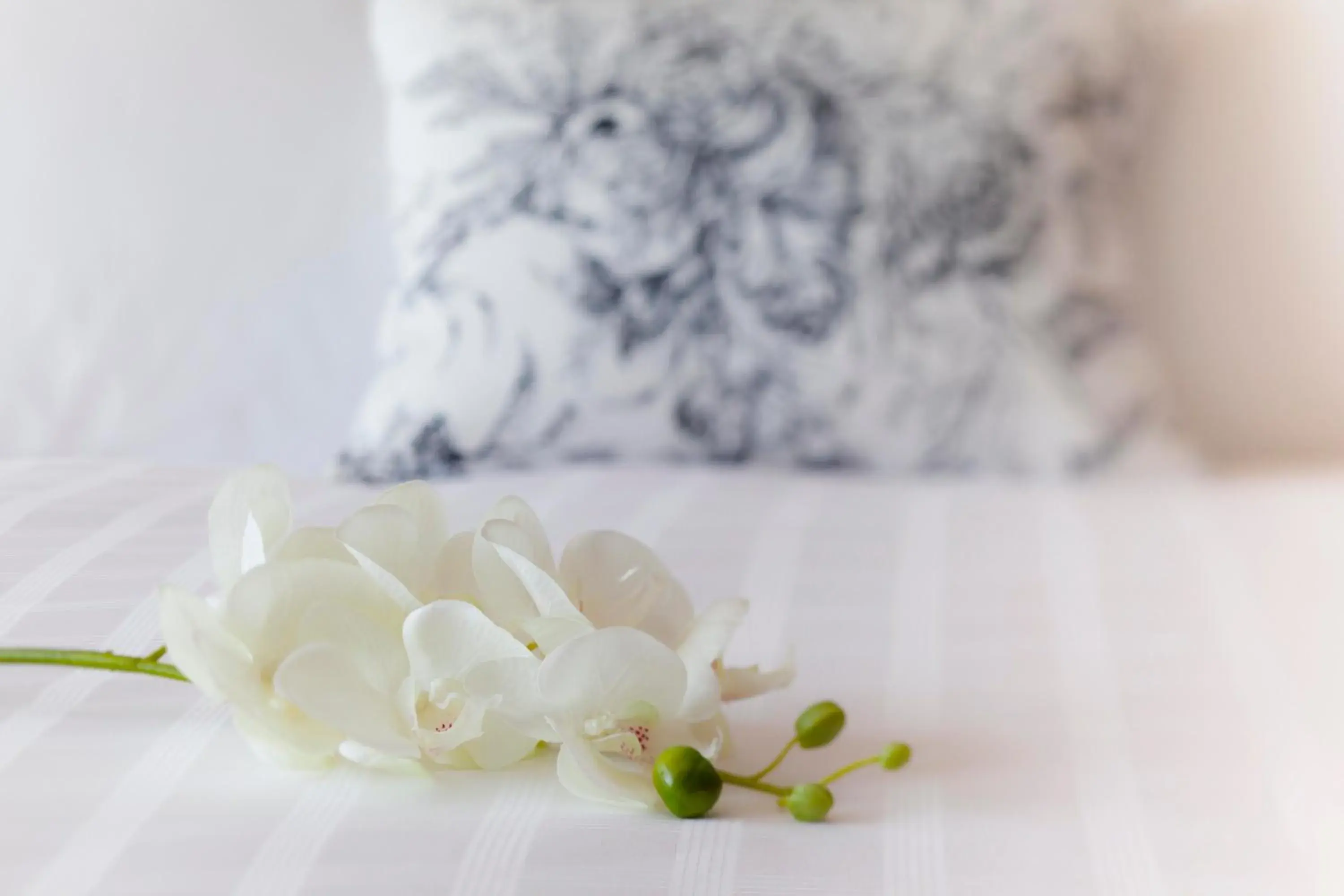 Decorative detail, Bed in U Sathorn Bangkok Decorative detail, Bed in U Sathorn Bangkok