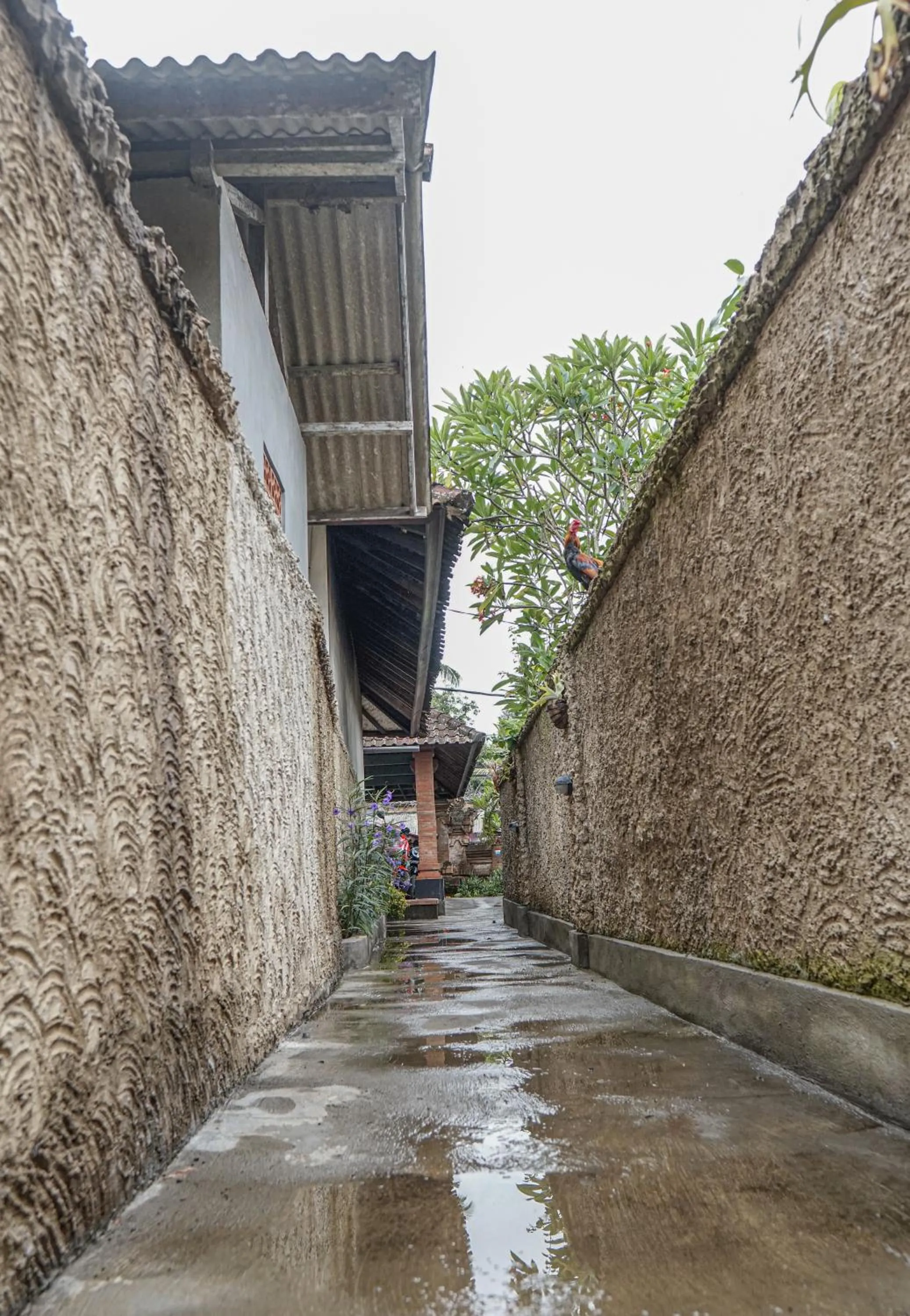Facade/entrance in Nyamane Ubud Green View Villas by EPS