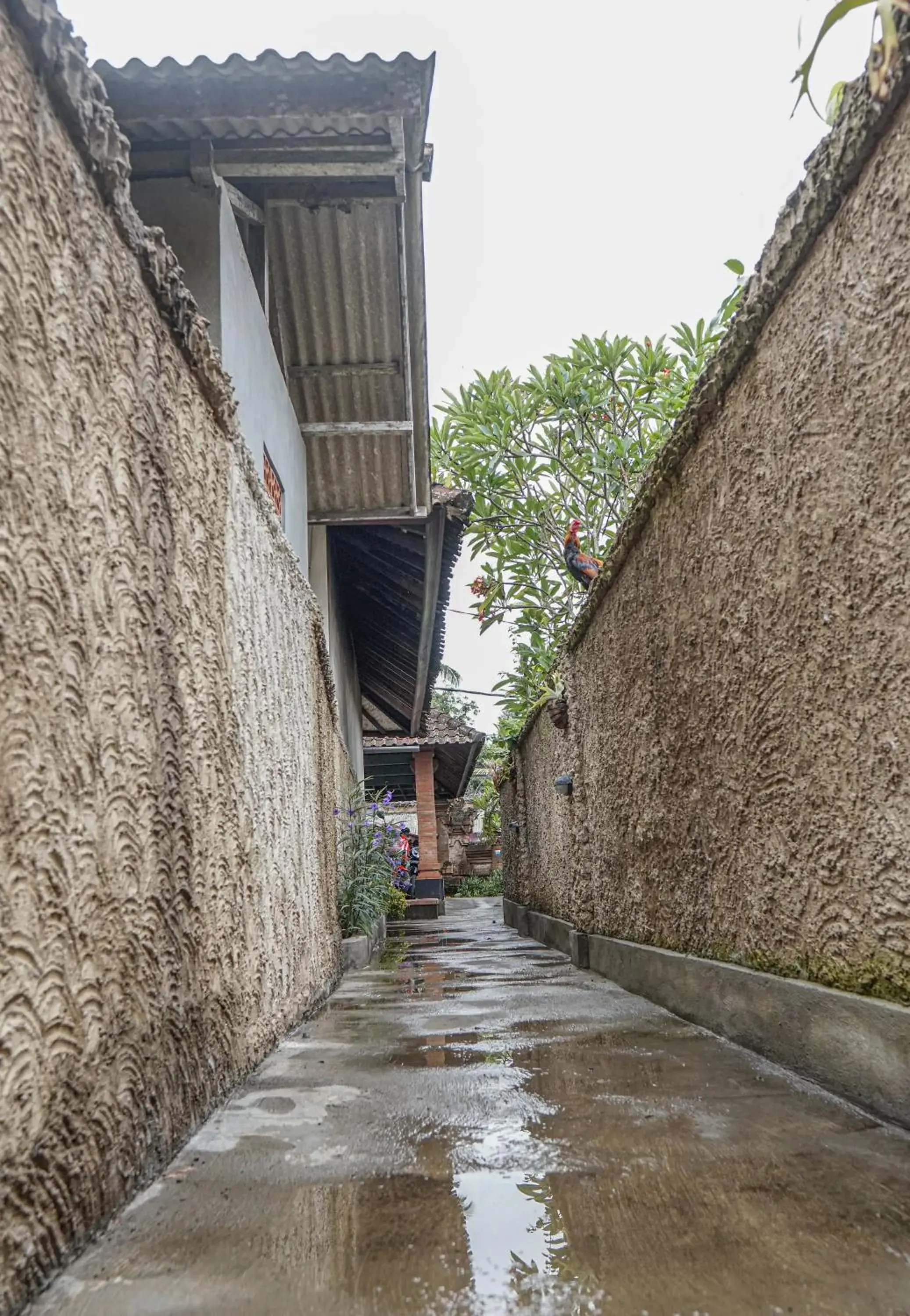 Facade/entrance in Nyamane Ubud Green View Villas by EPS Facade/entrance in Nyamane Ubud Green View Villas by EPS