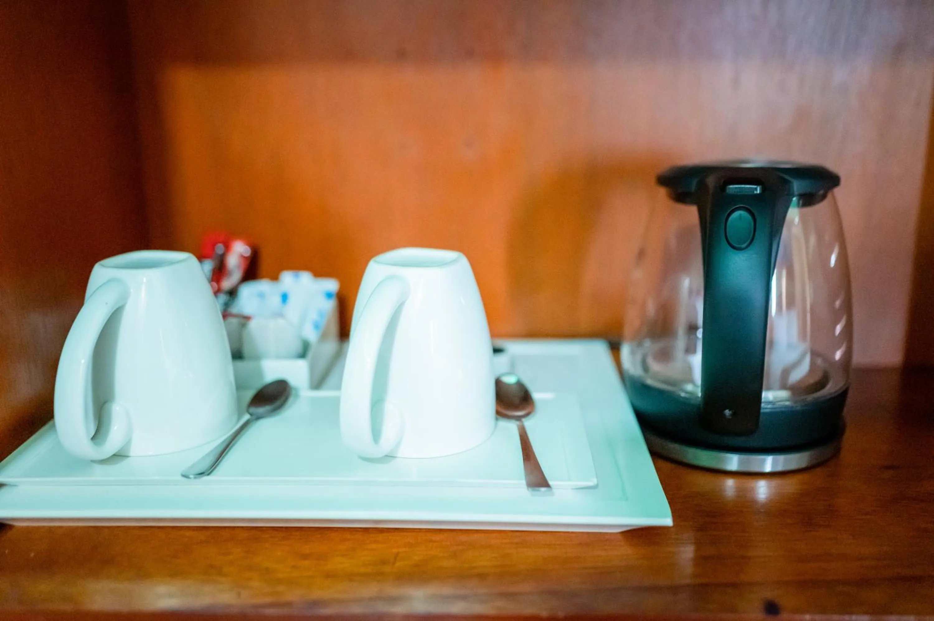 Coffee/tea facilities in ZAN Lodge