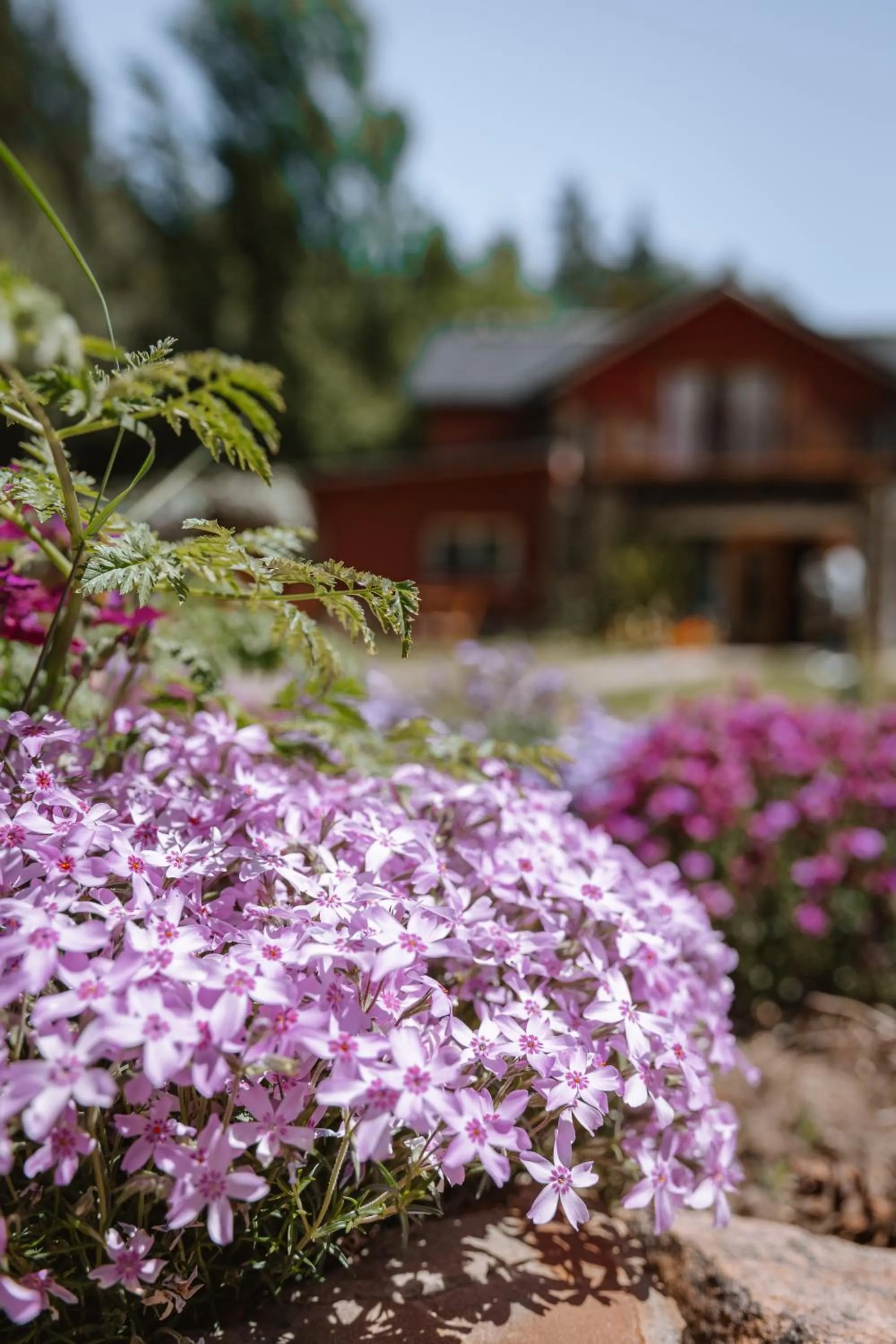Off site in Equs Posada de Campo