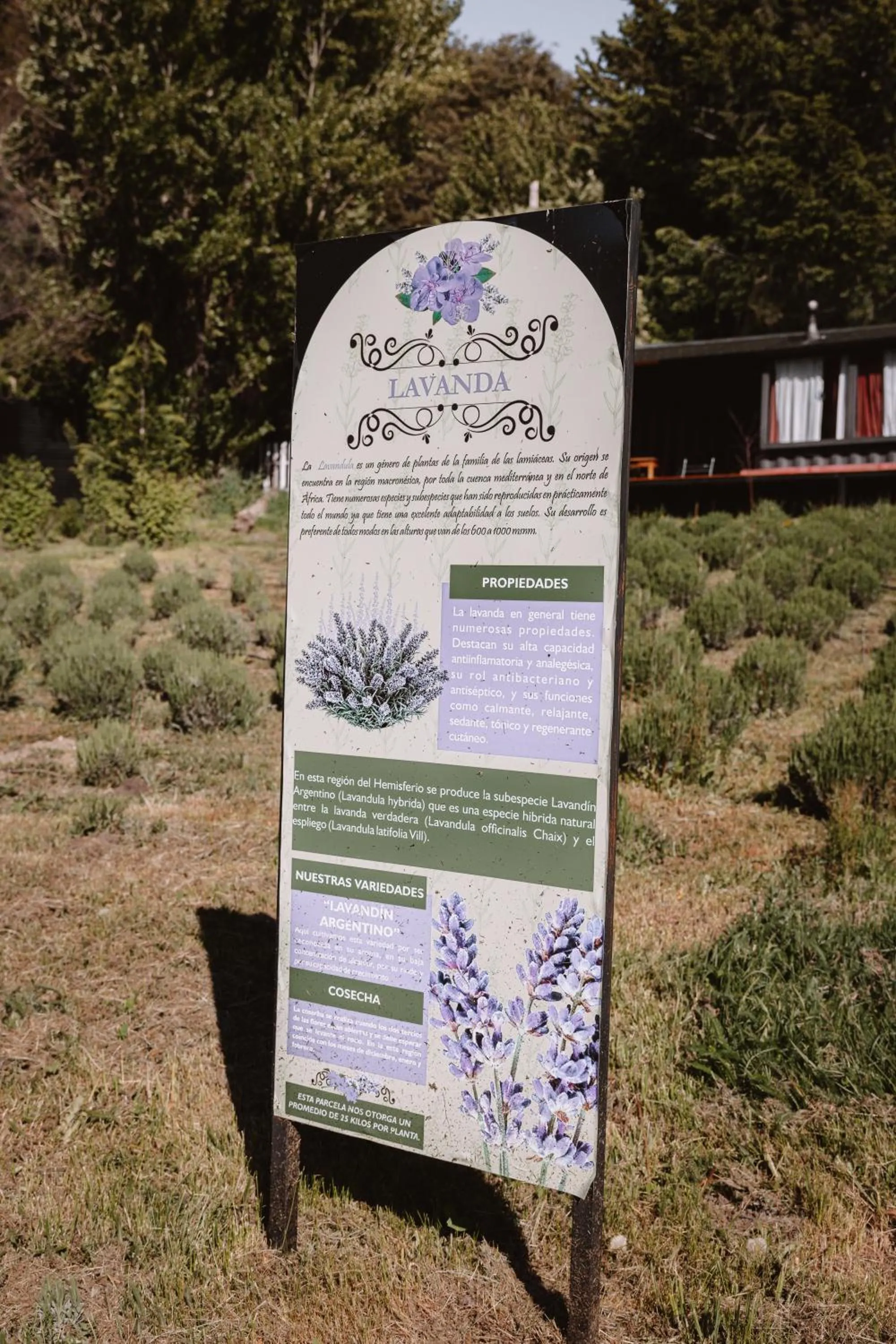 Garden in Equs Posada de Campo