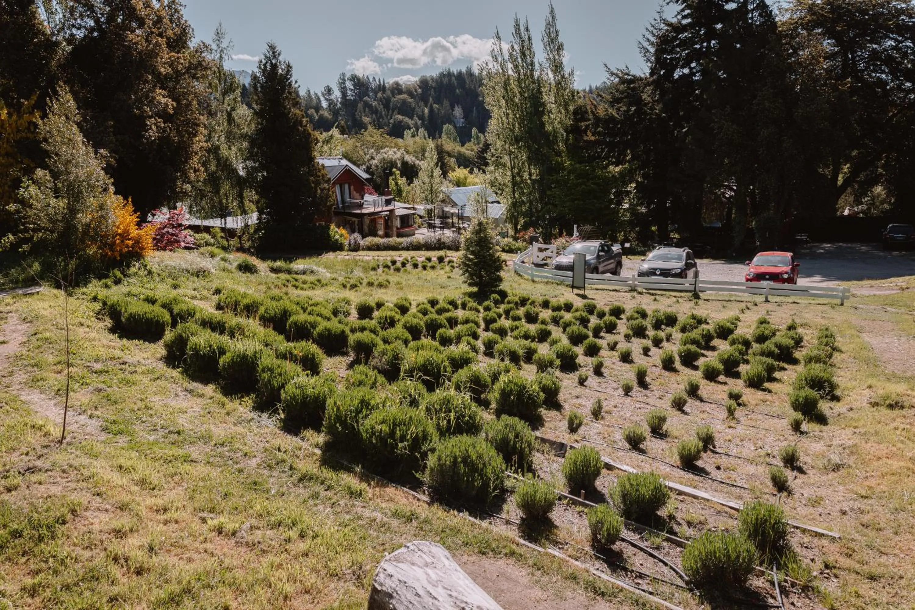 Garden in Equs Posada de Campo