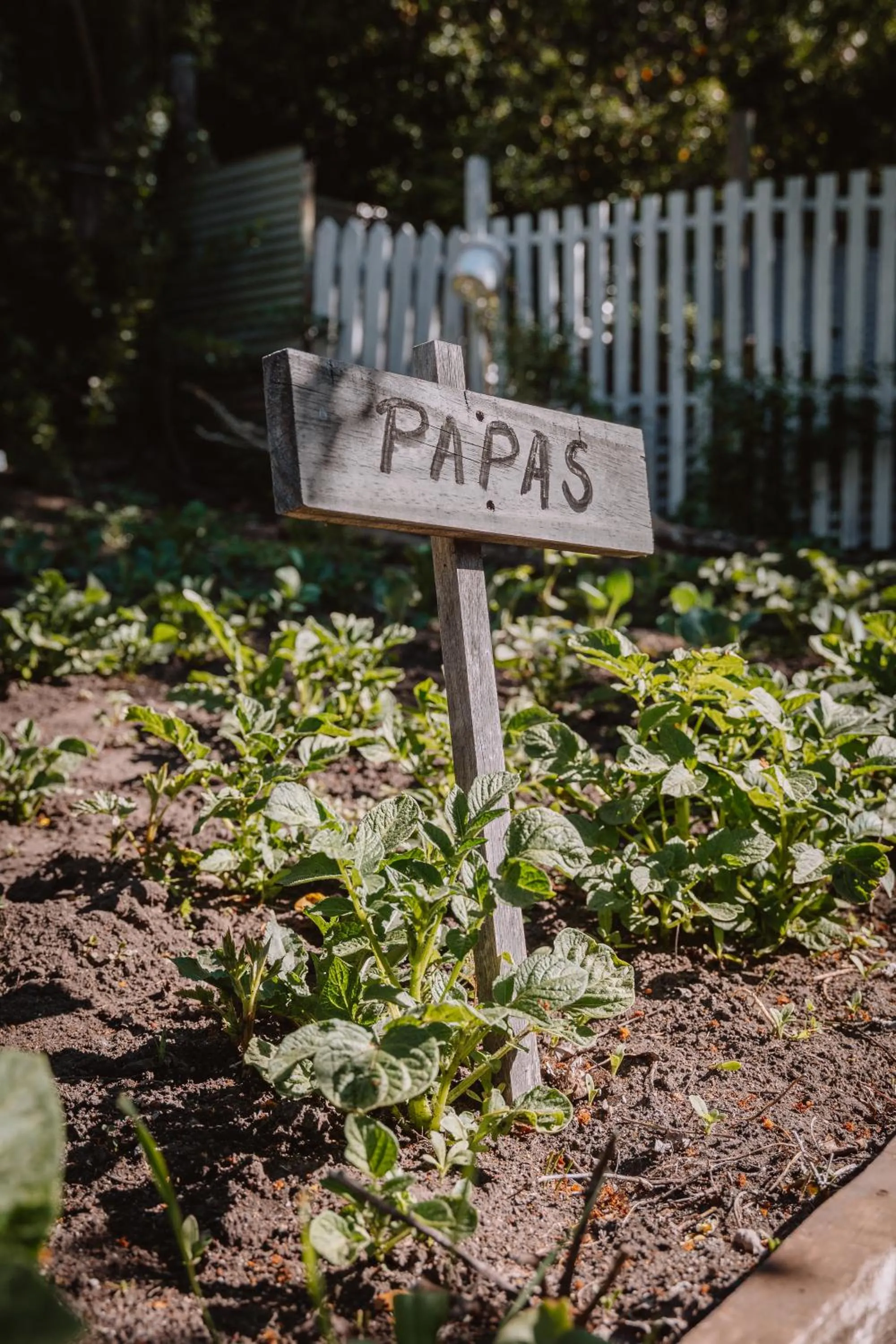 Garden in Equs Posada de Campo