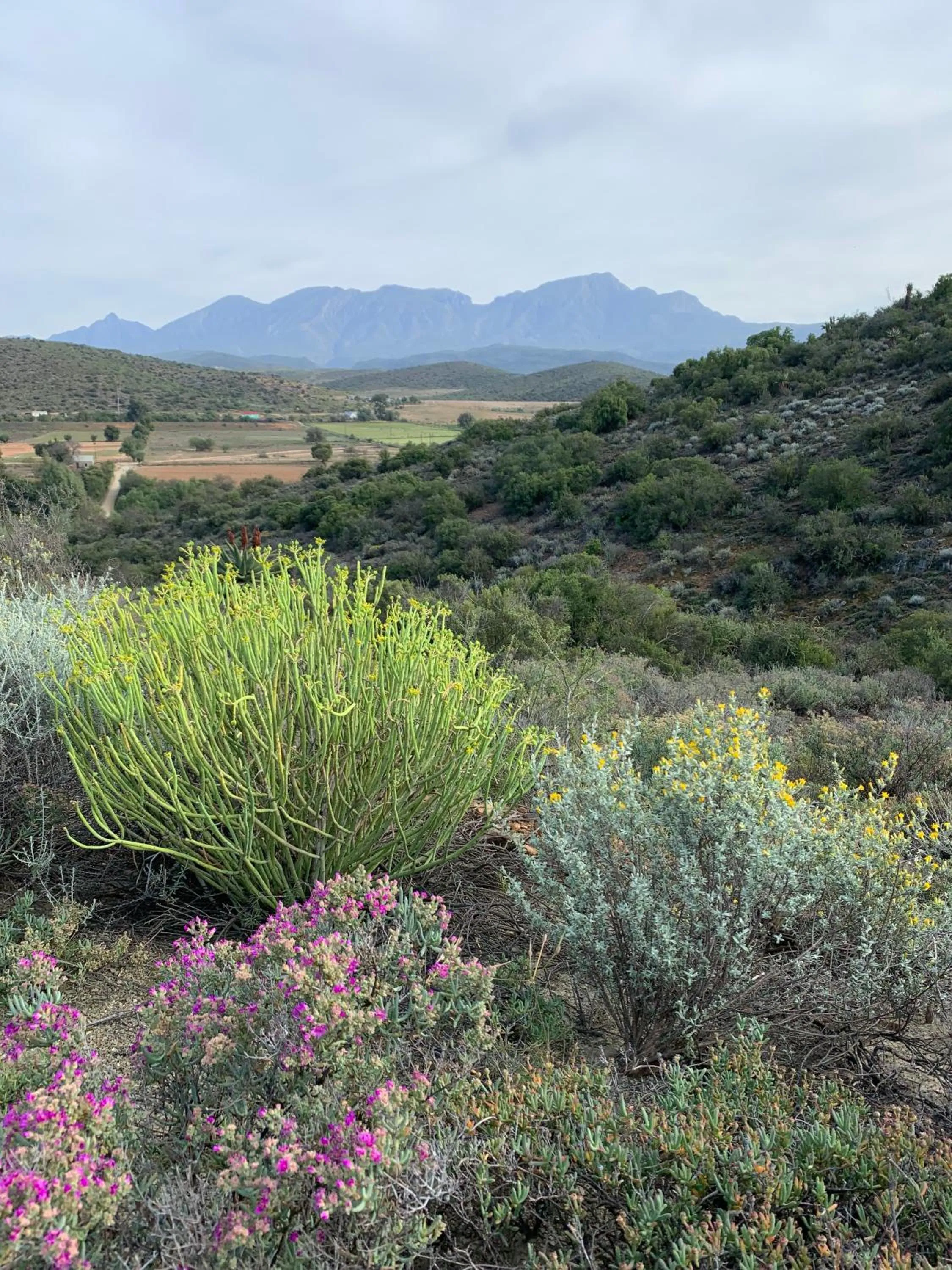 Hiking in Hotel De Rust