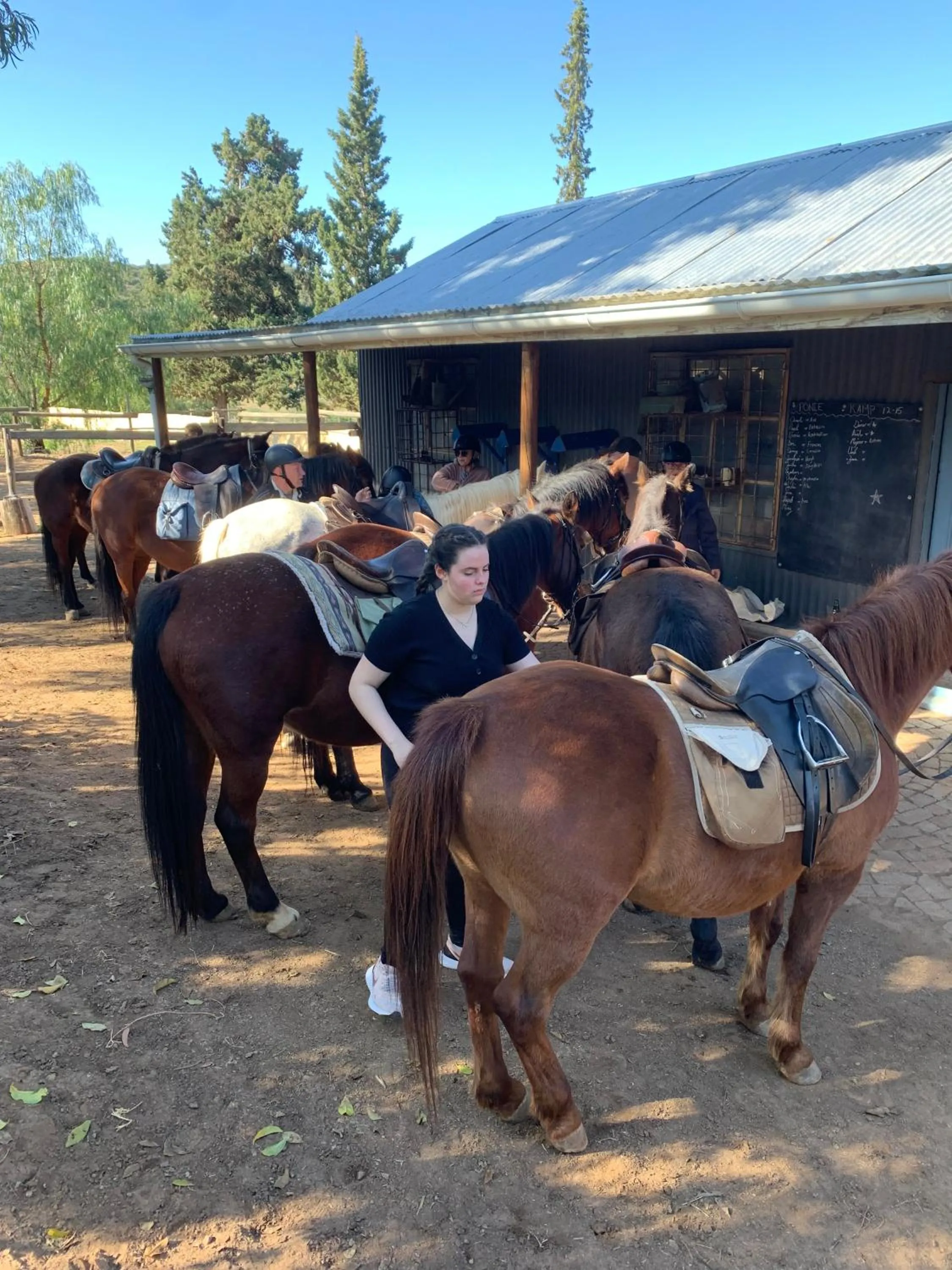 Horse-riding in Hotel De Rust
