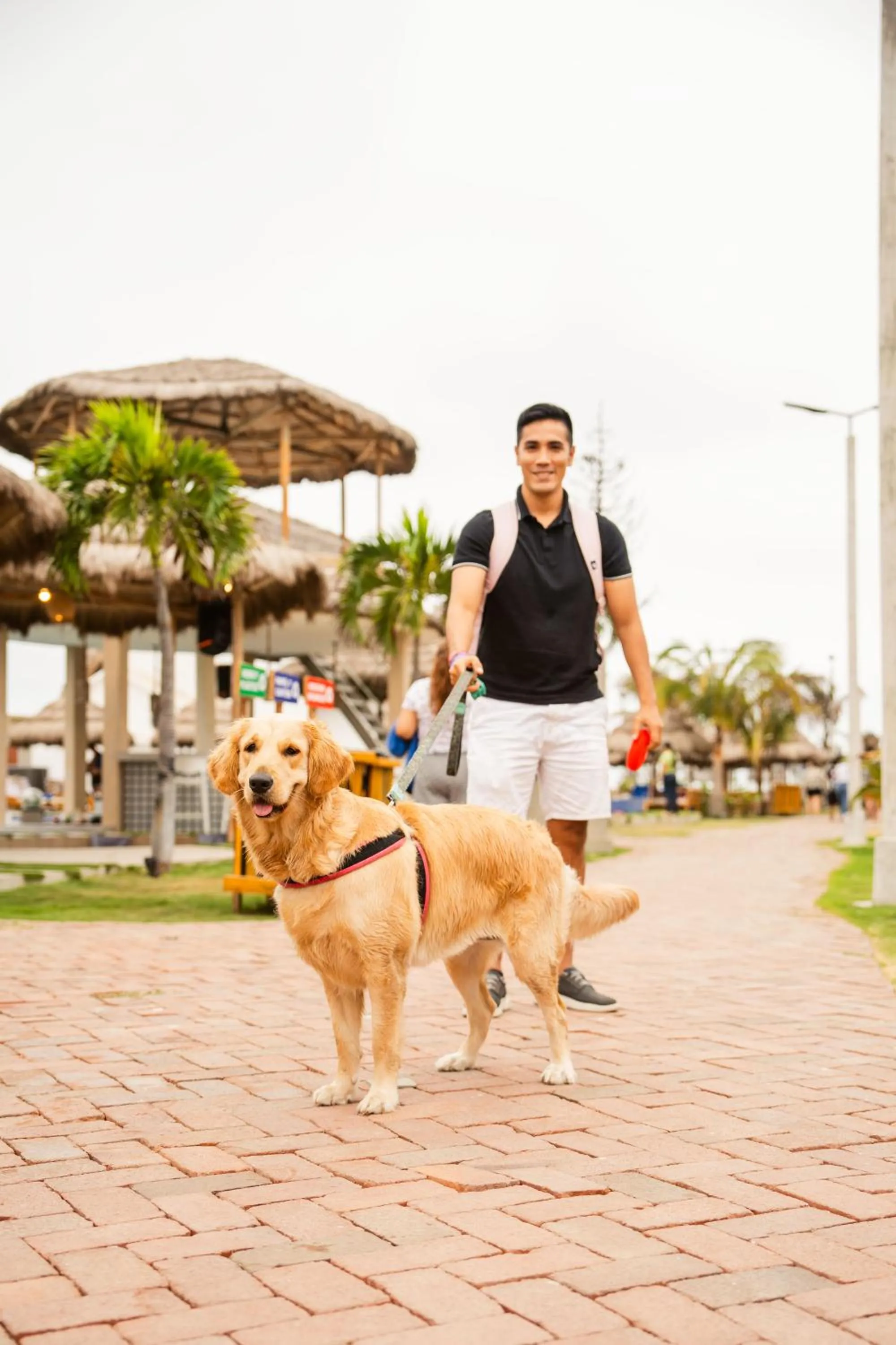 Day in Hotel Presidente Beach Playas