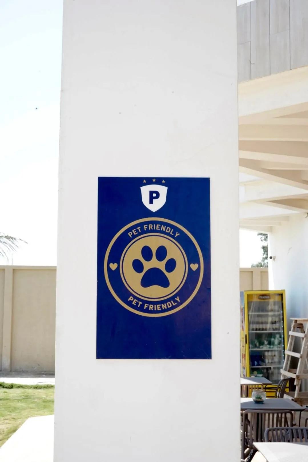 Pets in Hotel Presidente Beach Playas