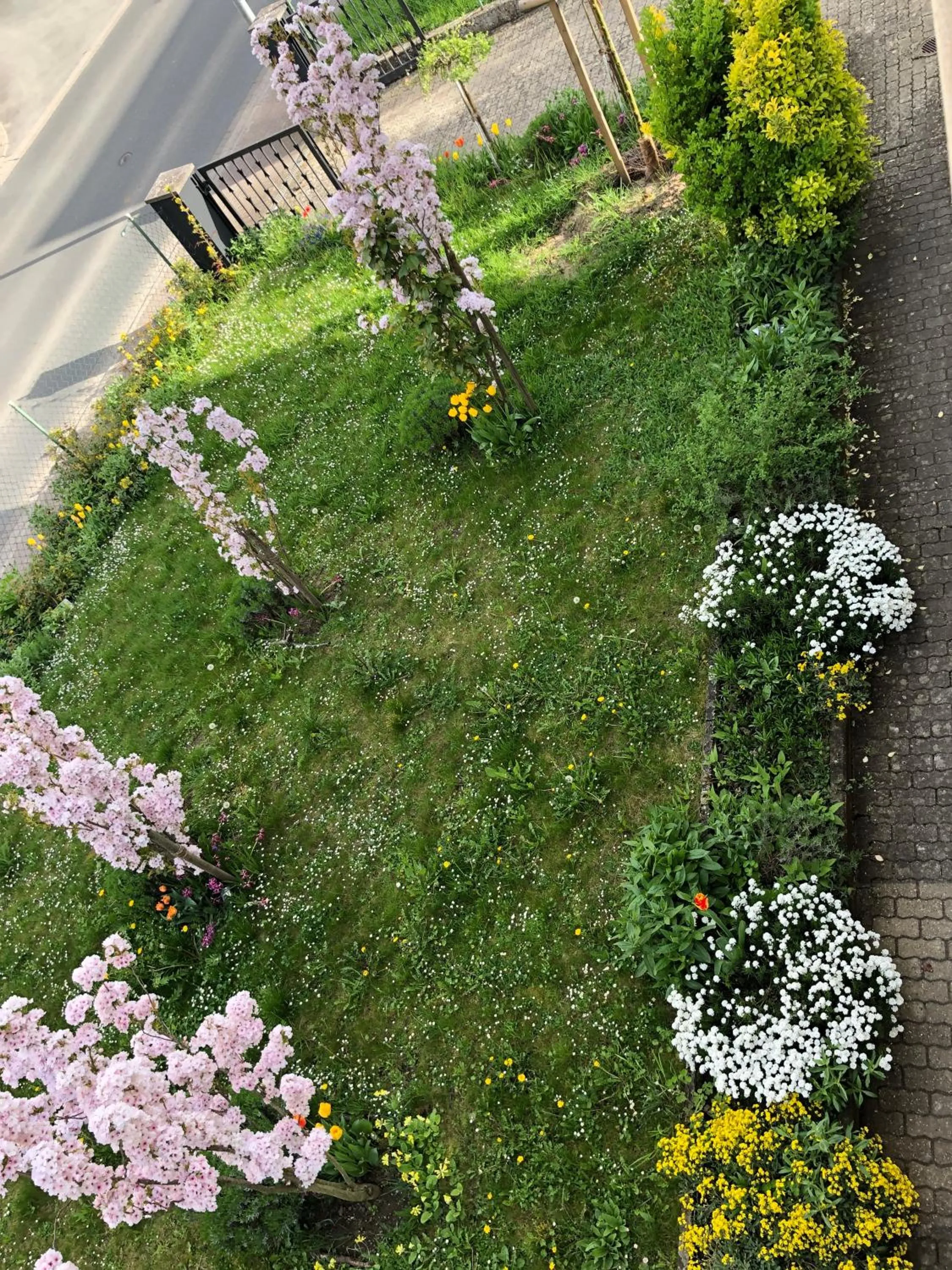 Garden view in Apartment in Rot, Fränkisches Design, Balkon in nur 50 Schritten zum Radweg, ideal for Long Stay, Relocation