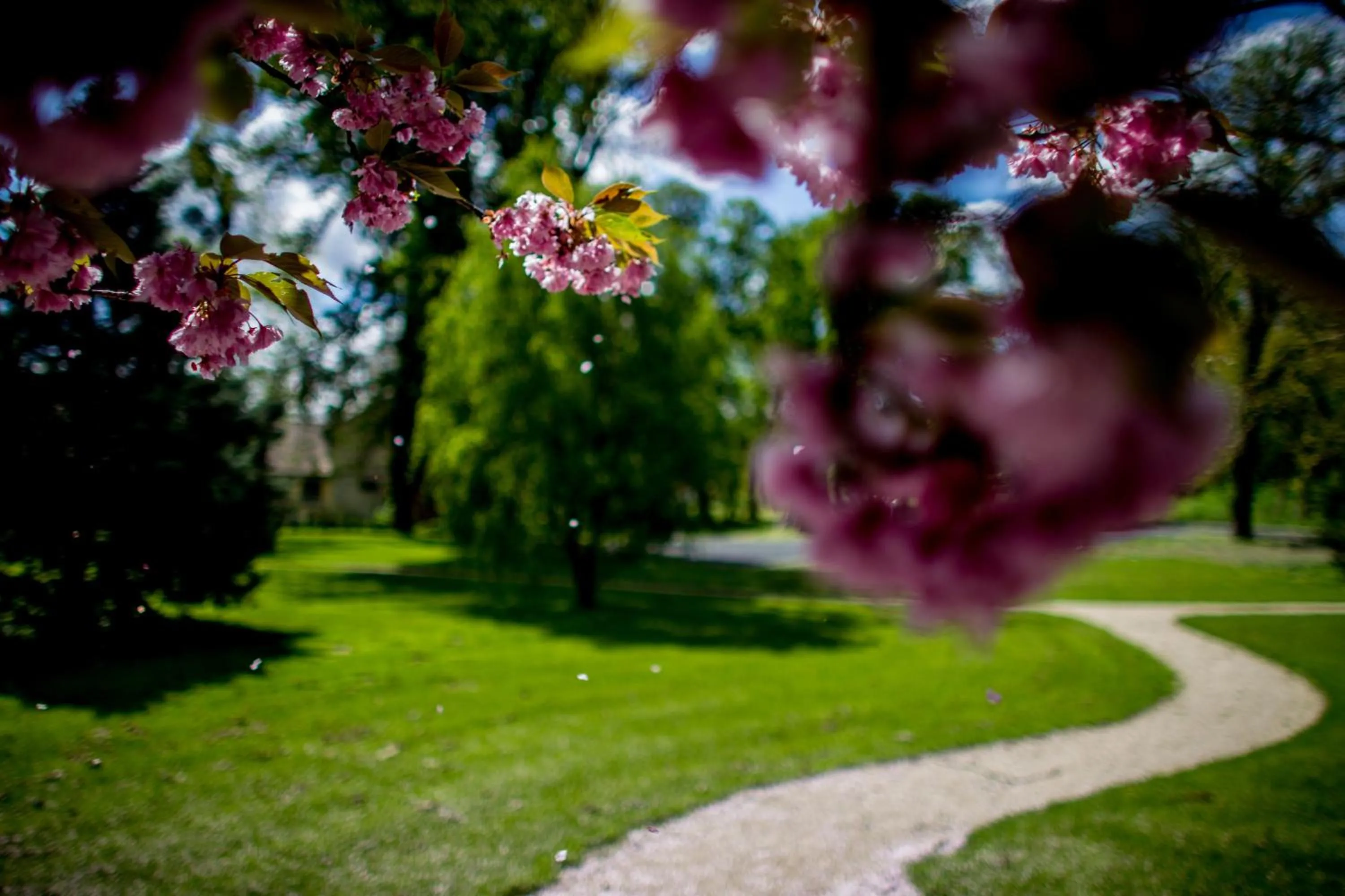 Garden in Batthyány Kúria