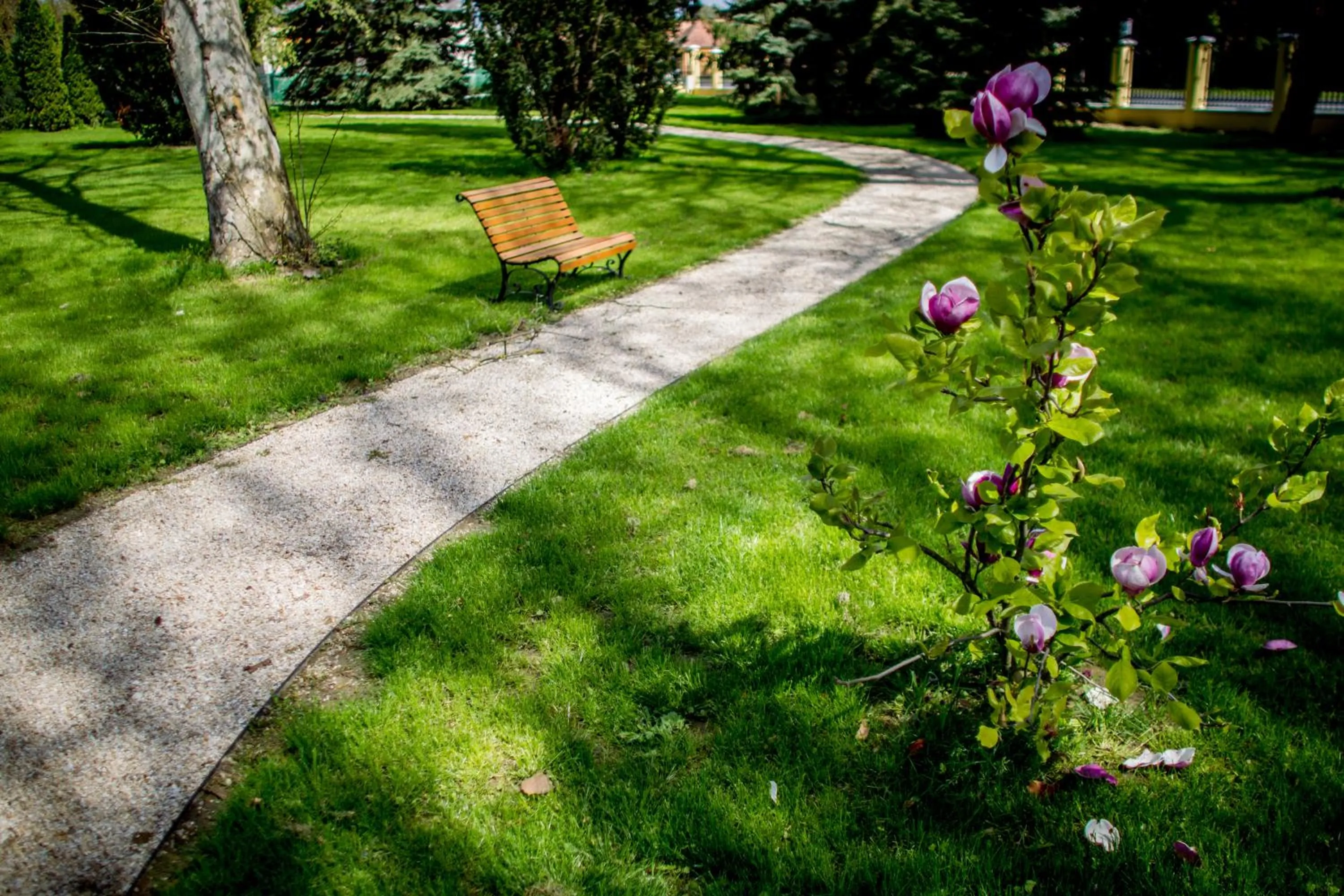 Garden in Batthyány Kúria