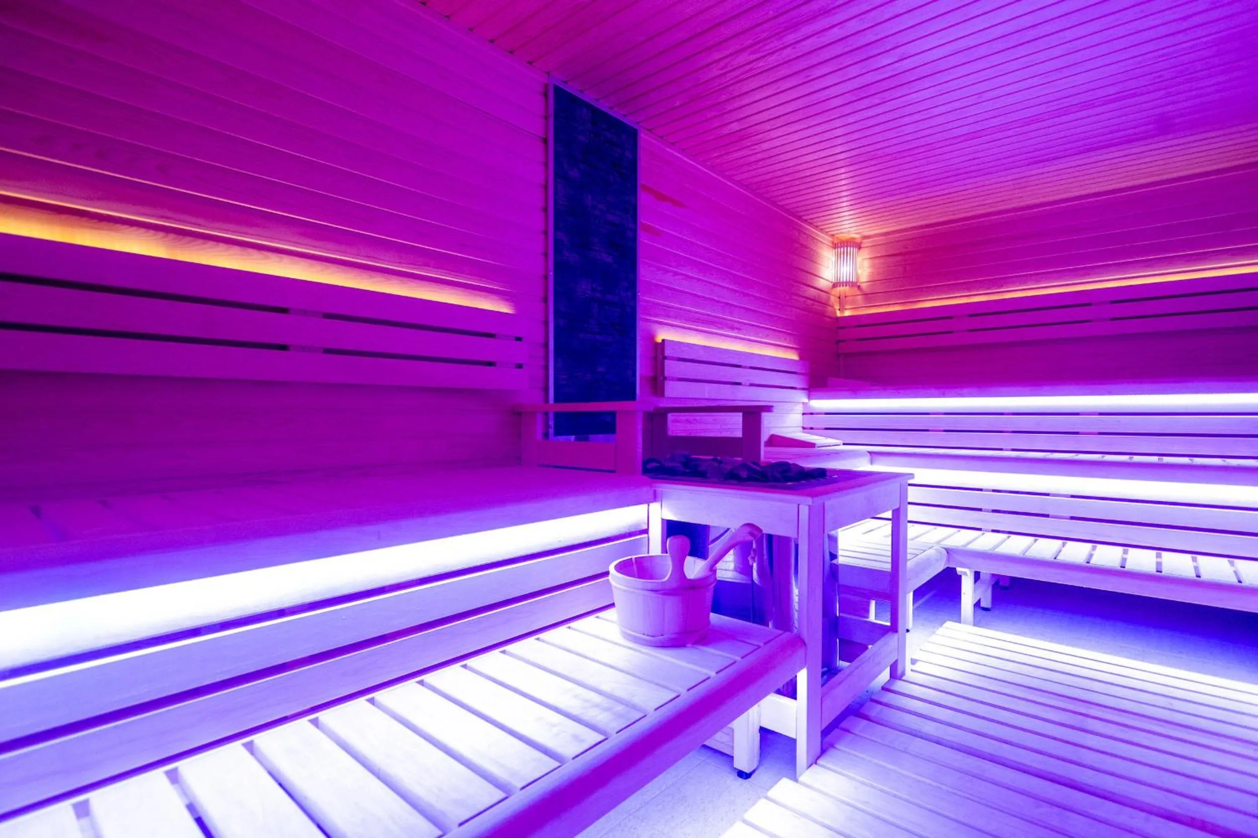 Sauna, Bed in Batthyány Kúria