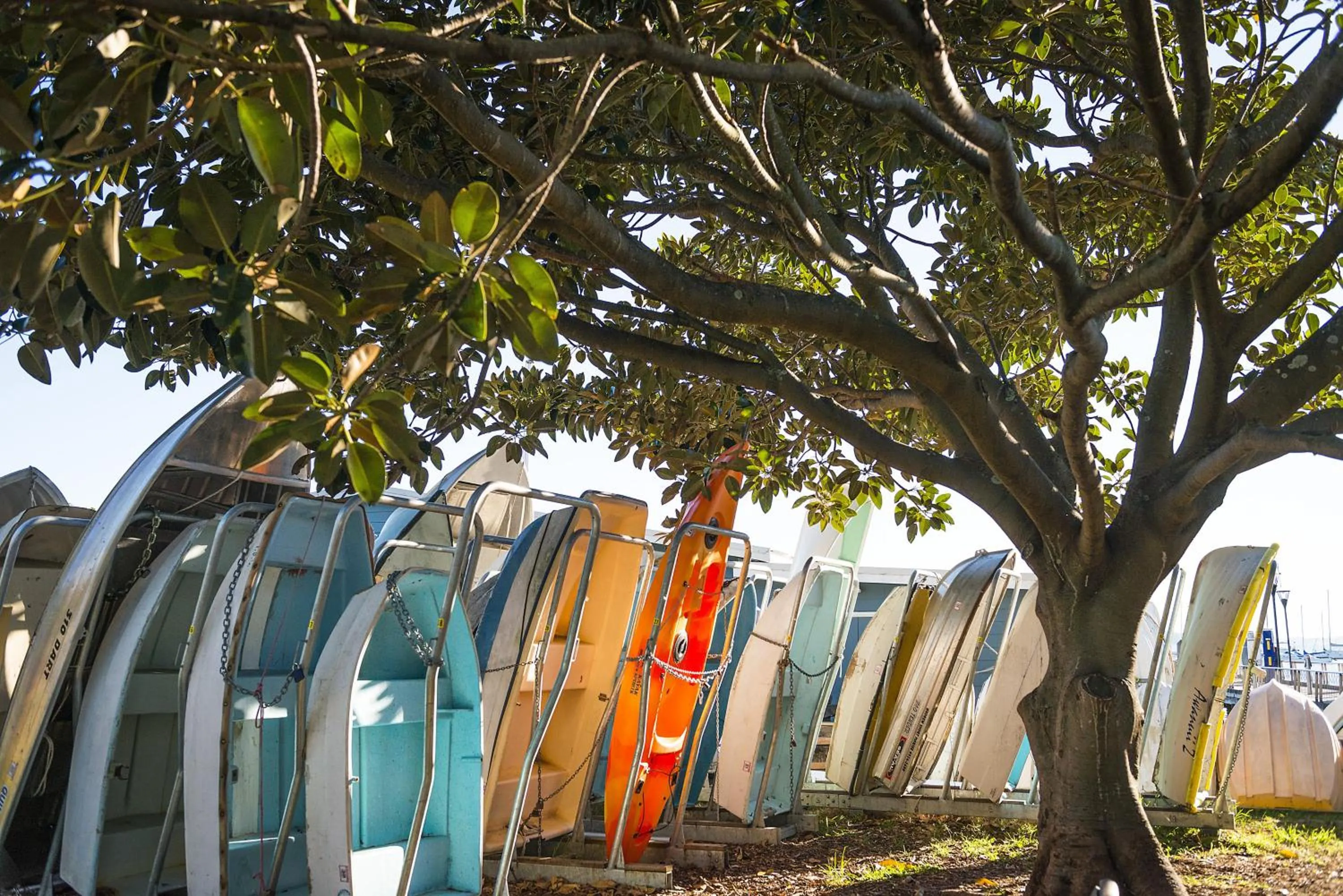 Area and facilities in InterContinental Sydney Double Bay by IHG