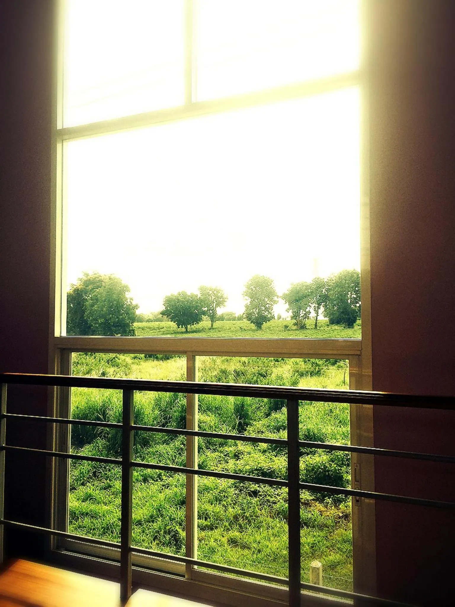 Area and facilities in Thorfun Guesthouse in the Garden