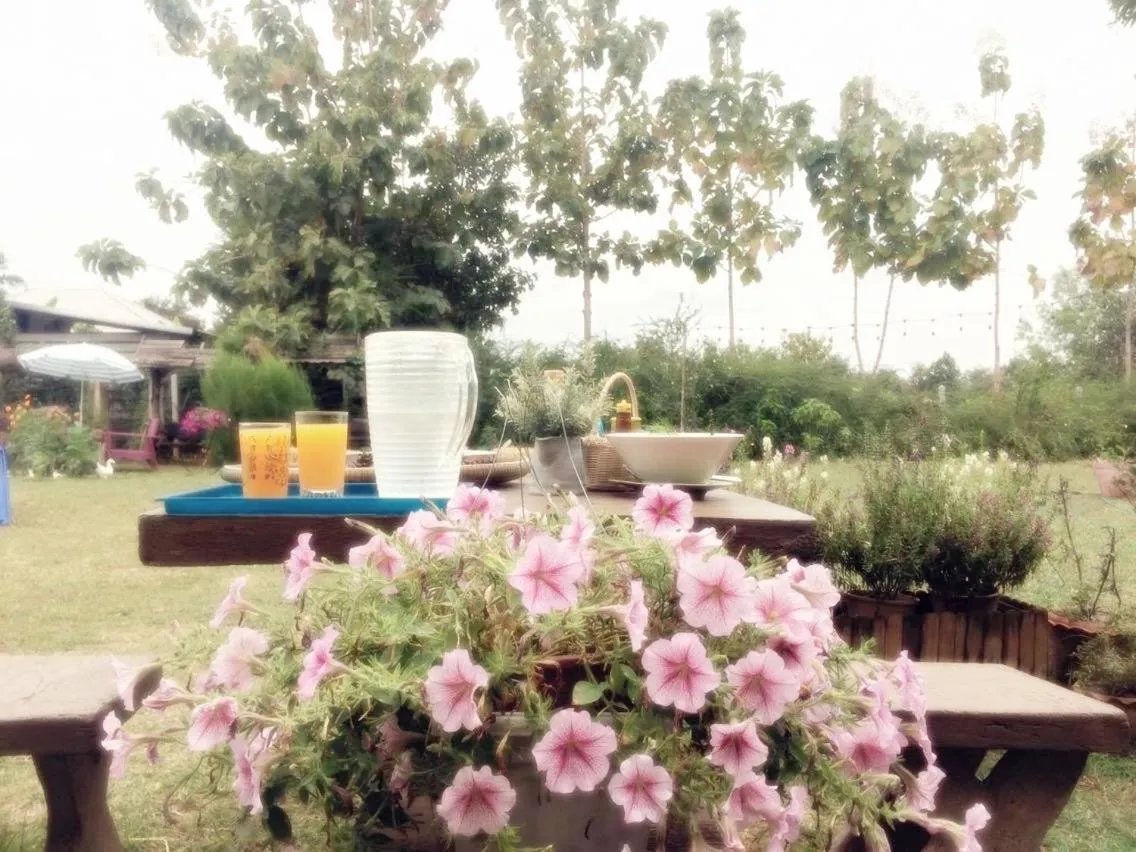 Garden in Thorfun Guesthouse in the Garden