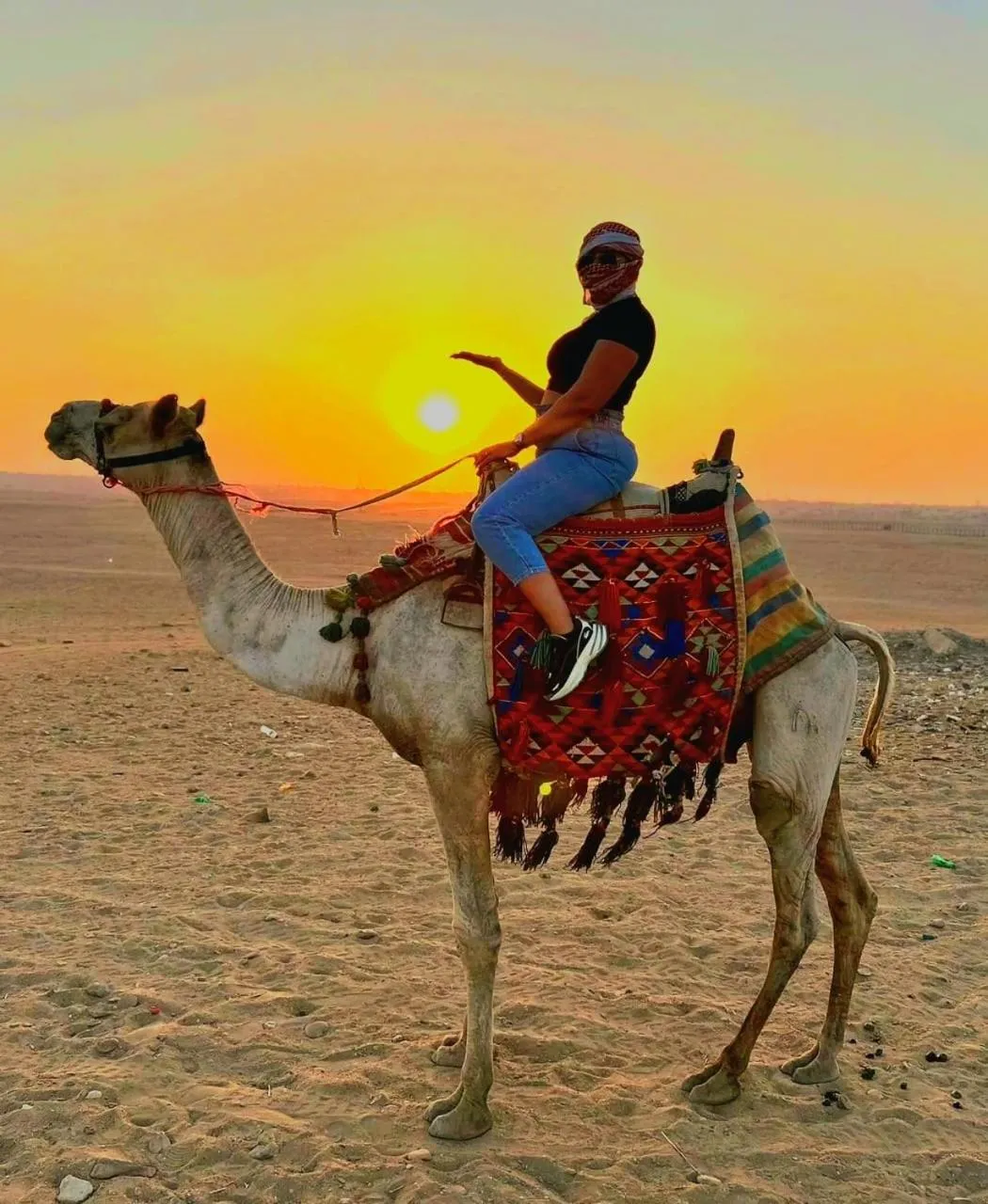 Pyramids Chillout Hotel