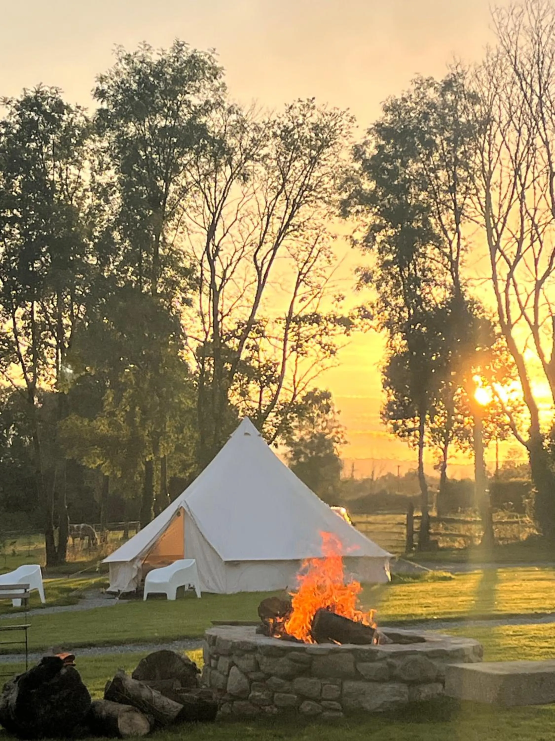 Natural landscape in Ferry House Holidays