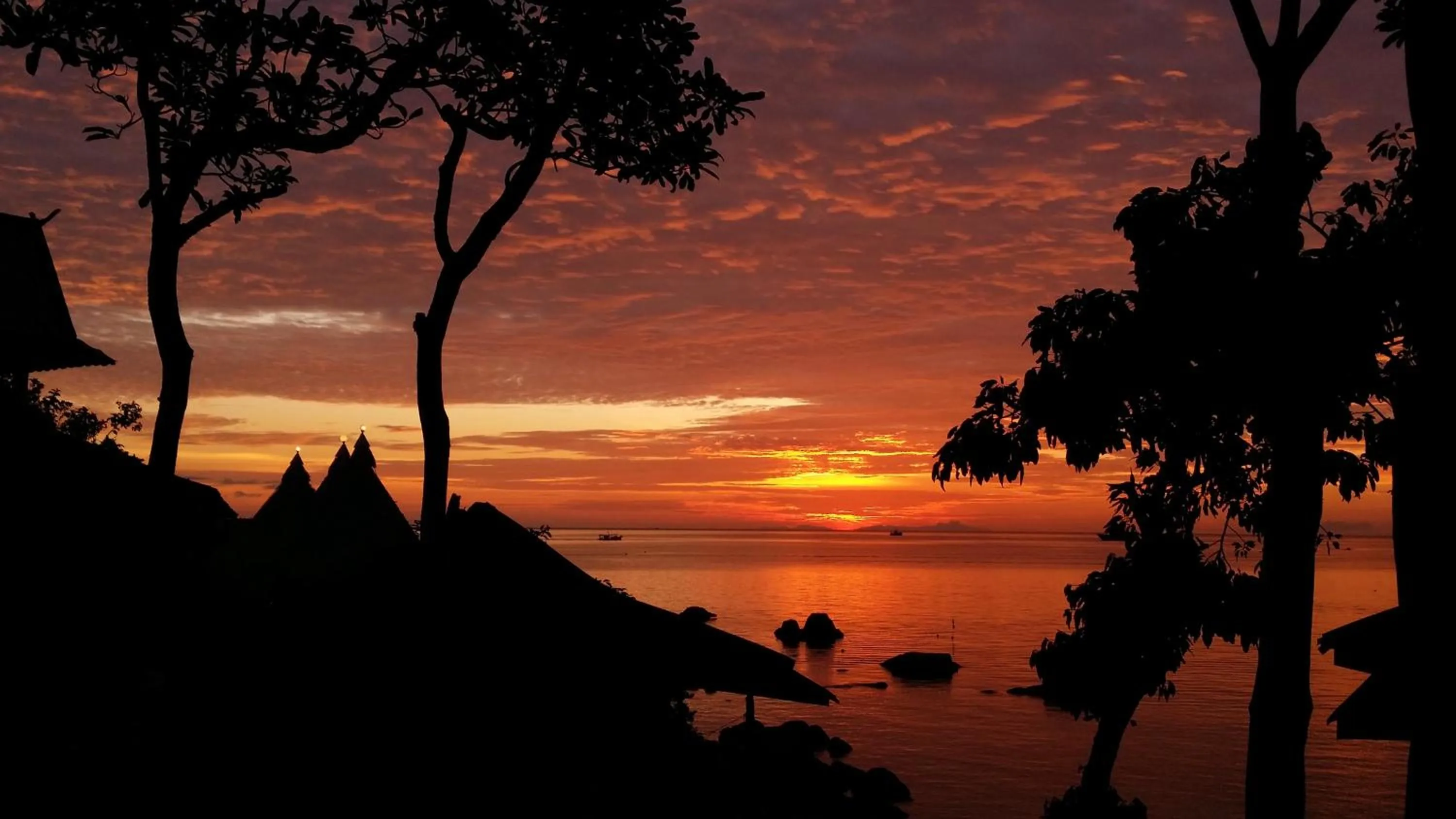 Night in Clear View Resort