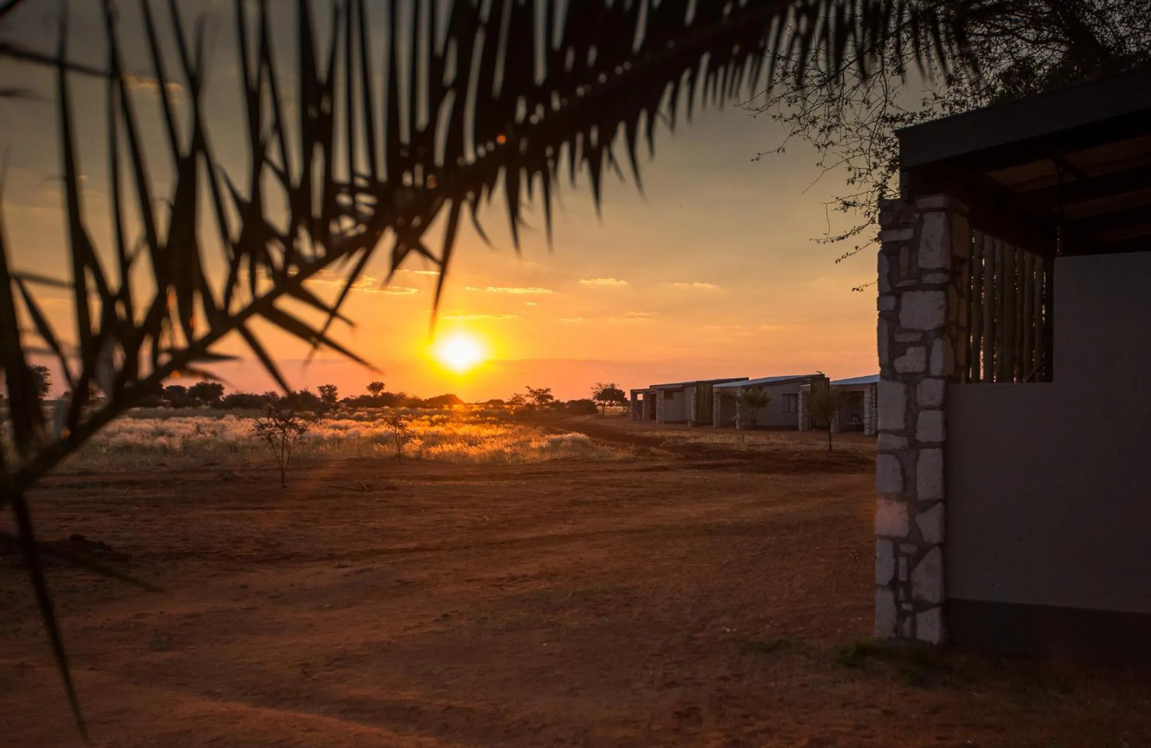 Natural landscape in Gondwana Kalahari Anib Lodge