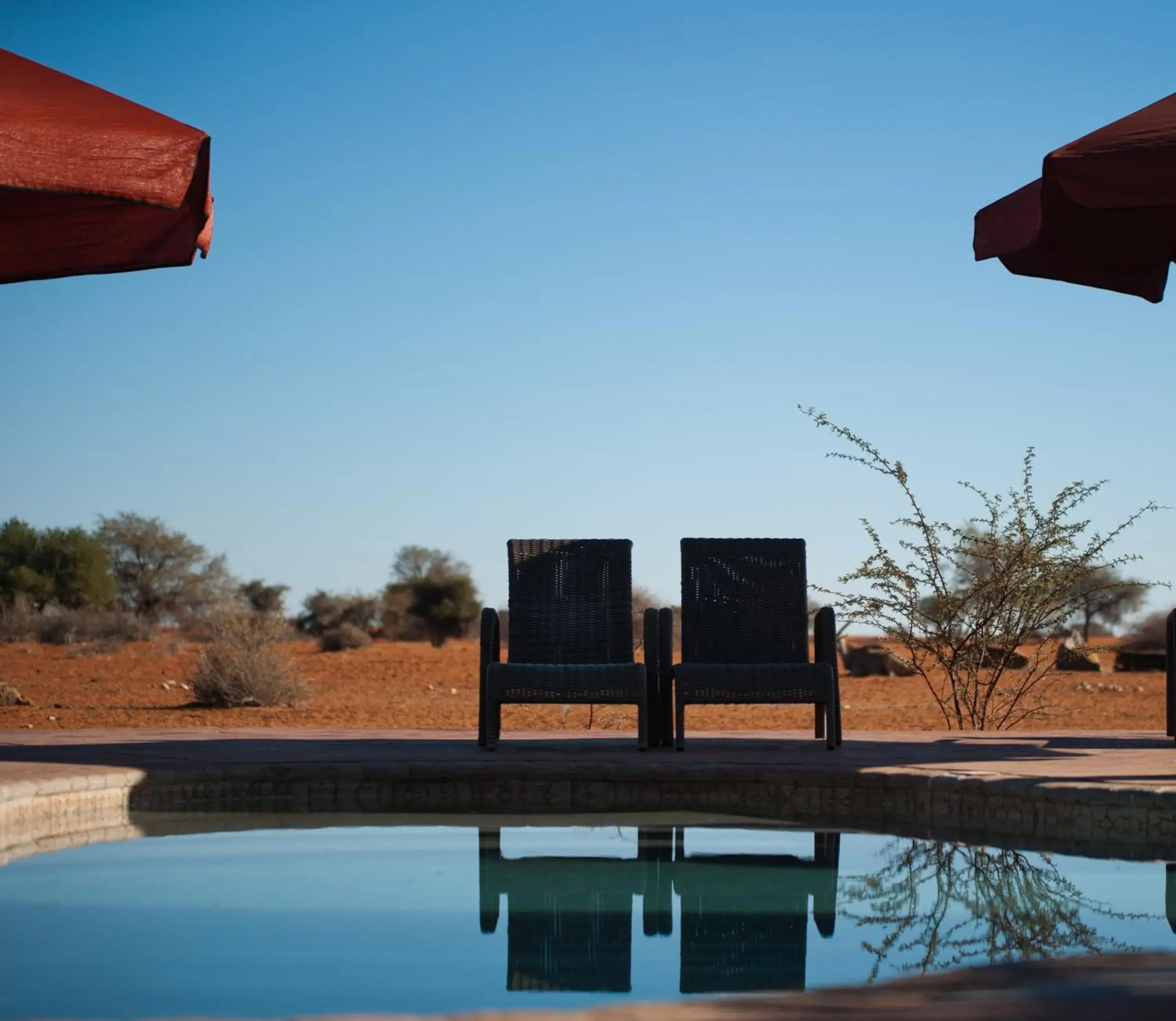 Swimming pool in Gondwana Kalahari Anib Lodge Swimming pool in Gondwana Kalahari Anib Lodge