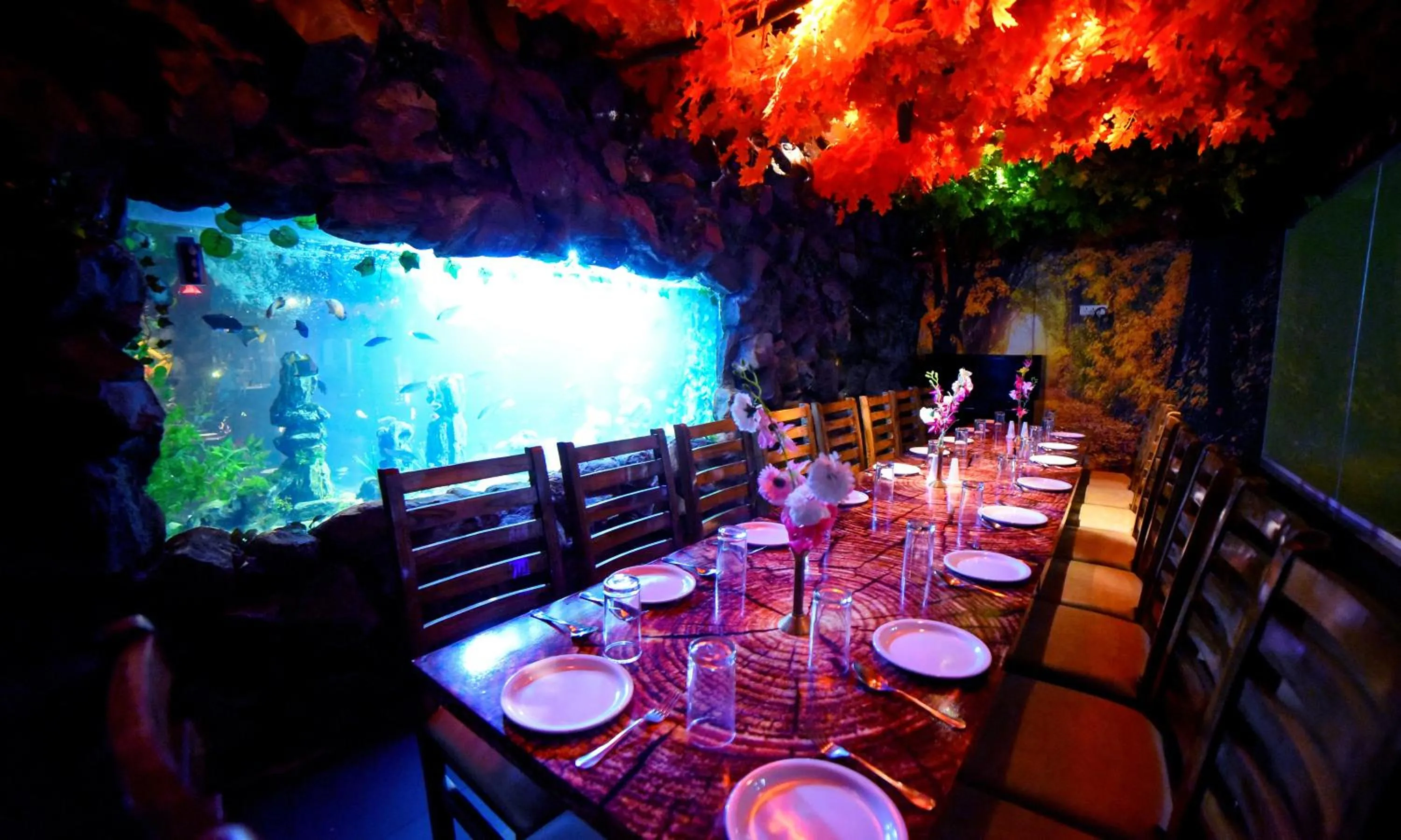 Restaurant/places to eat in Carnival Resort