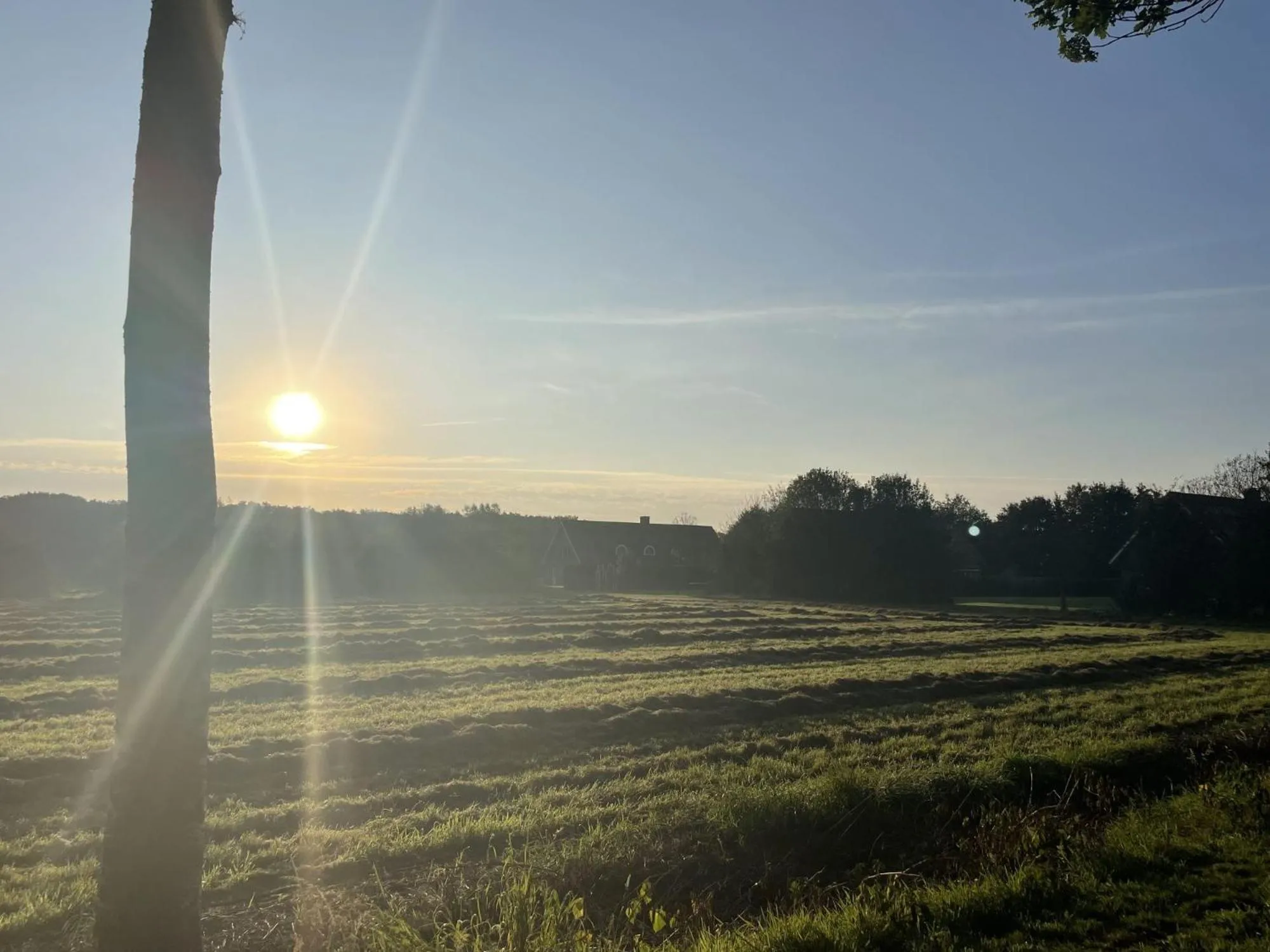 View (from property/room) in Vakantiehuis B&B Familie Versantvoort