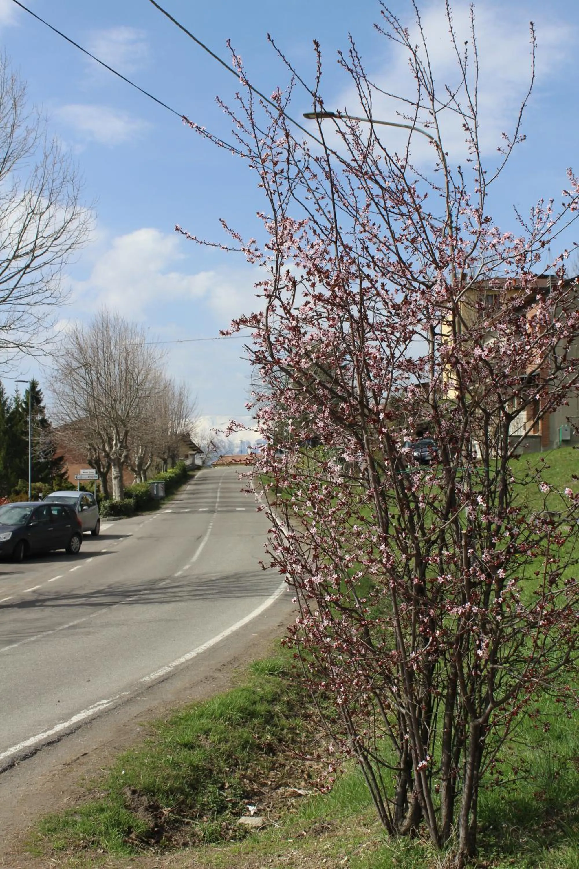 Spring in Albergo Ristorante Miramonti Toano