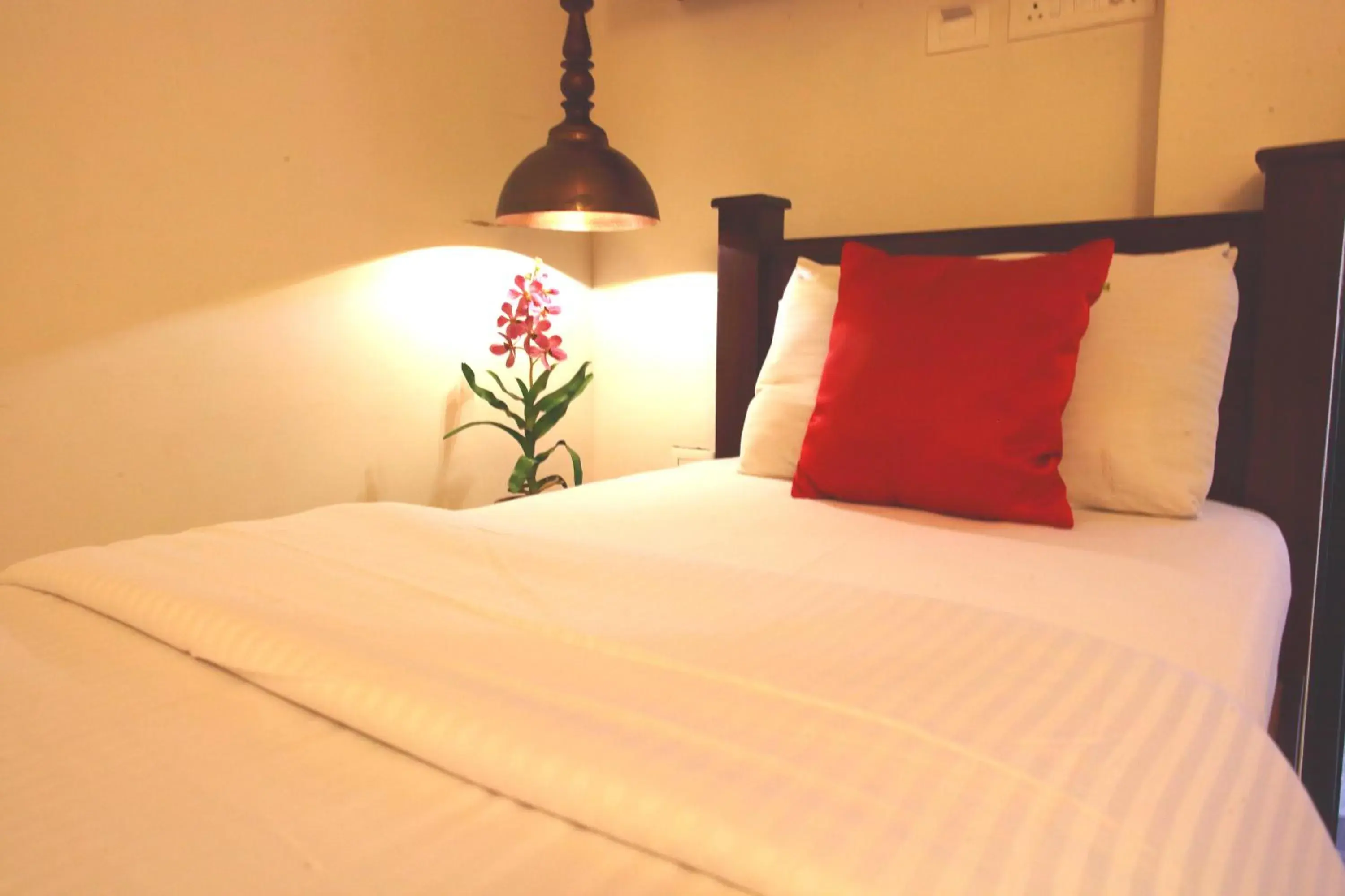 Economy Single Room - single occupancy in Hotel Highnest Economy Single Room - single occupancy in Hotel Highnest