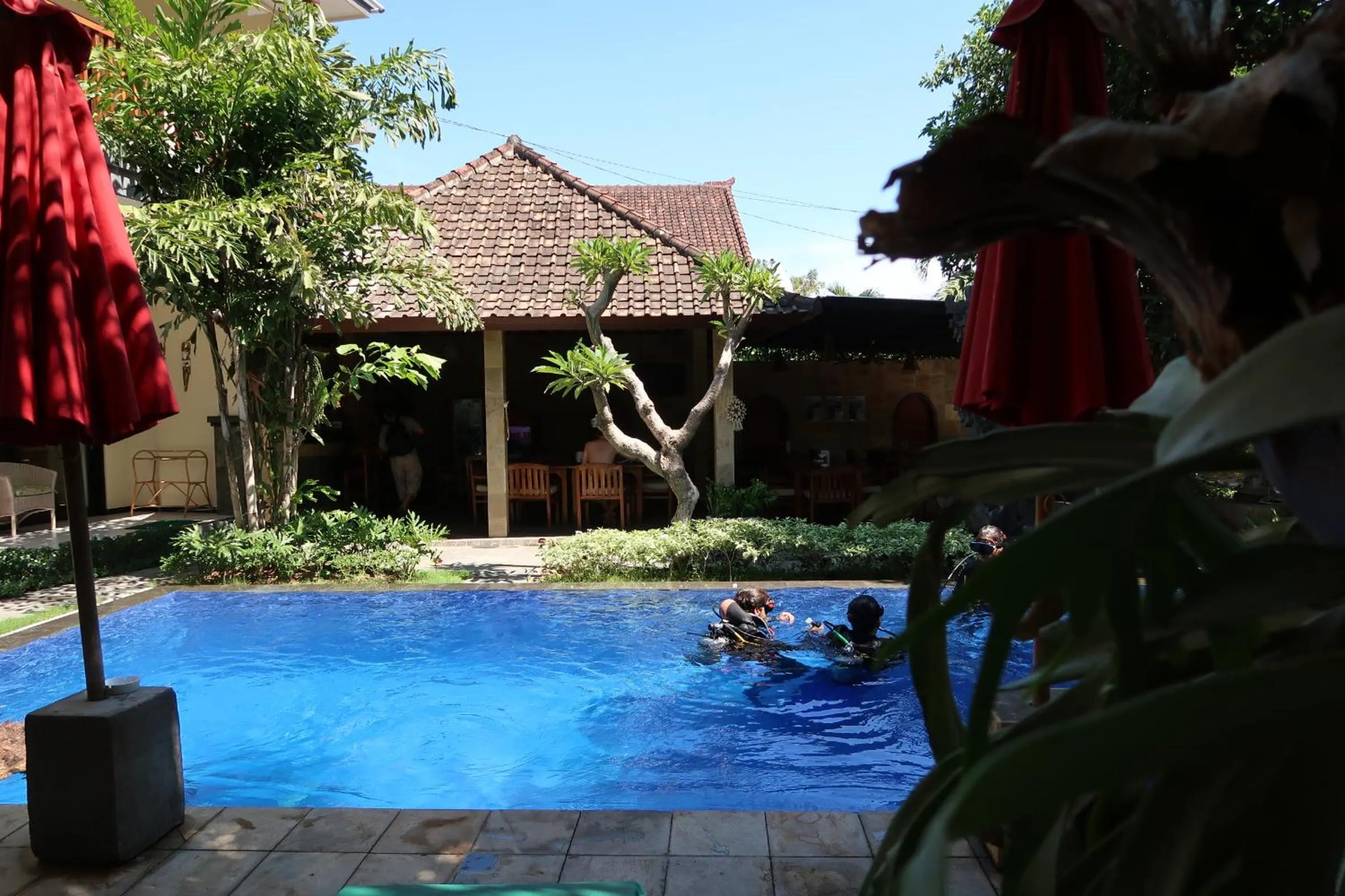 Swimming pool in Bali Reef Divers Tulamben