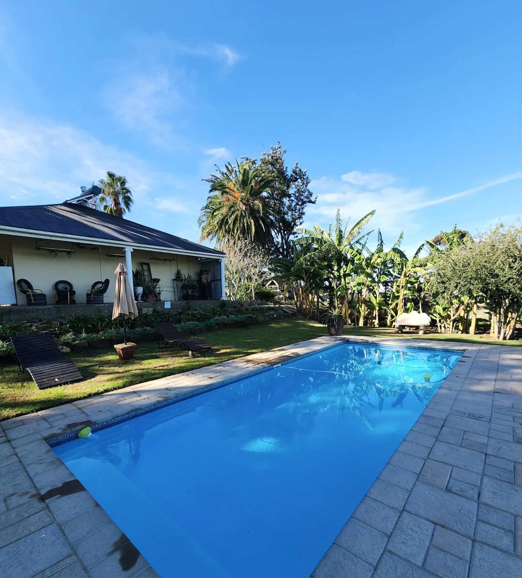 Homestead Bed and Breakfast - Travel Addo Group