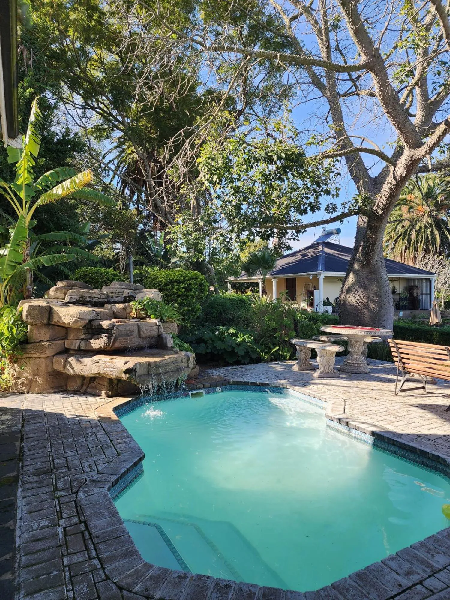 Homestead Bed and Breakfast - Travel Addo Group