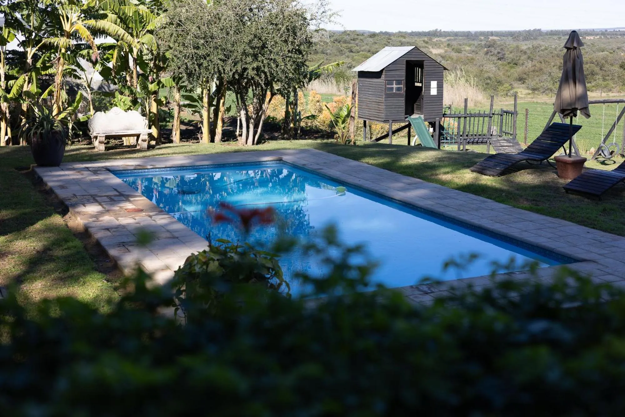 Homestead Bed and Breakfast - Travel Addo Group