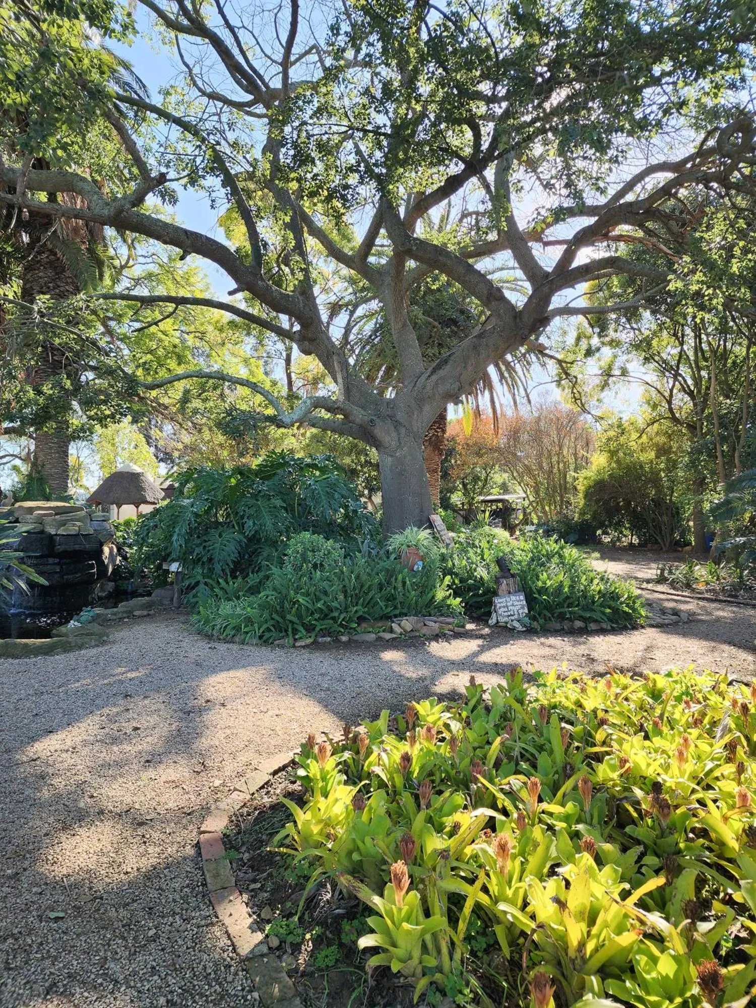 Homestead Bed and Breakfast - Travel Addo Group